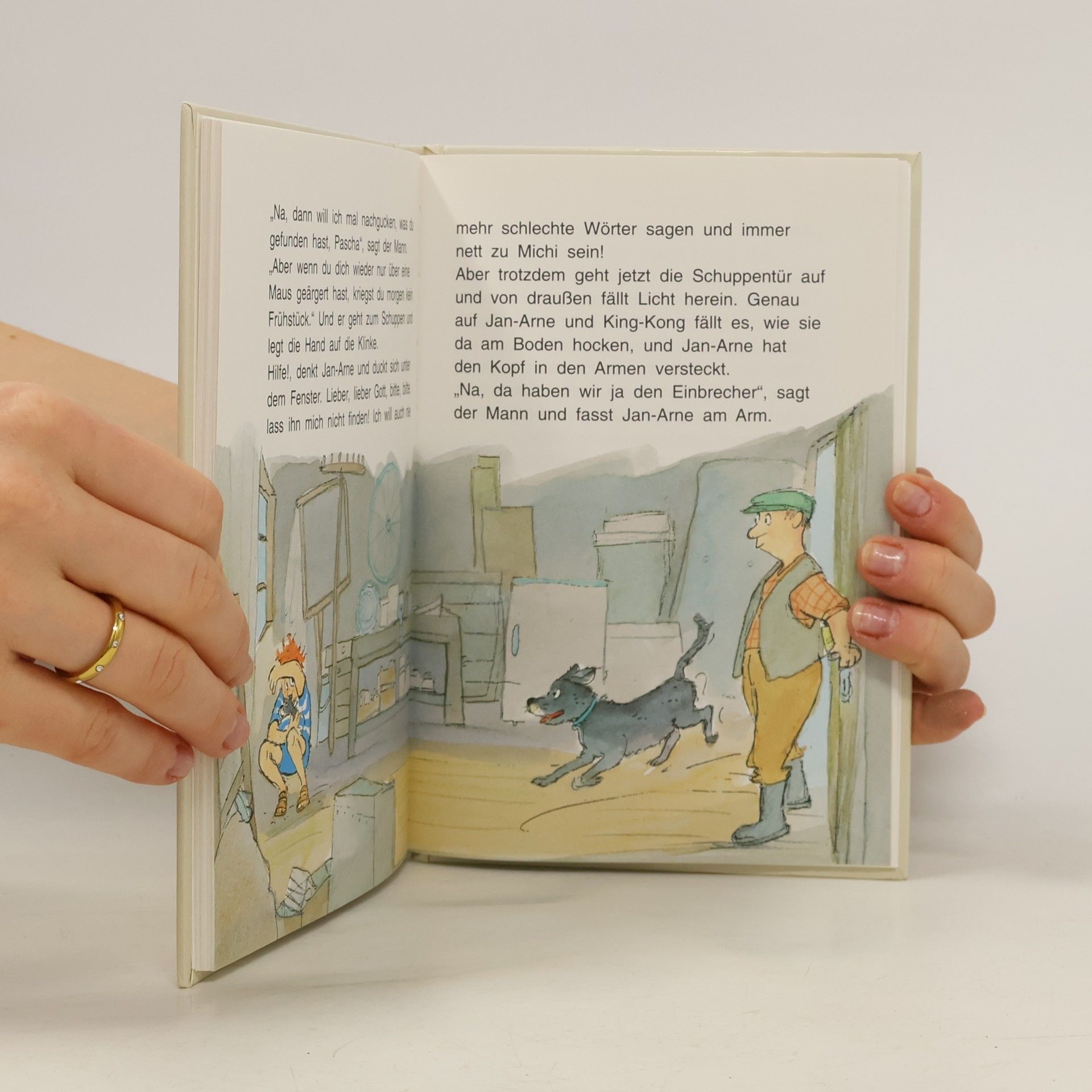 Kirsten Boie King-Kong, das Reiseschwein