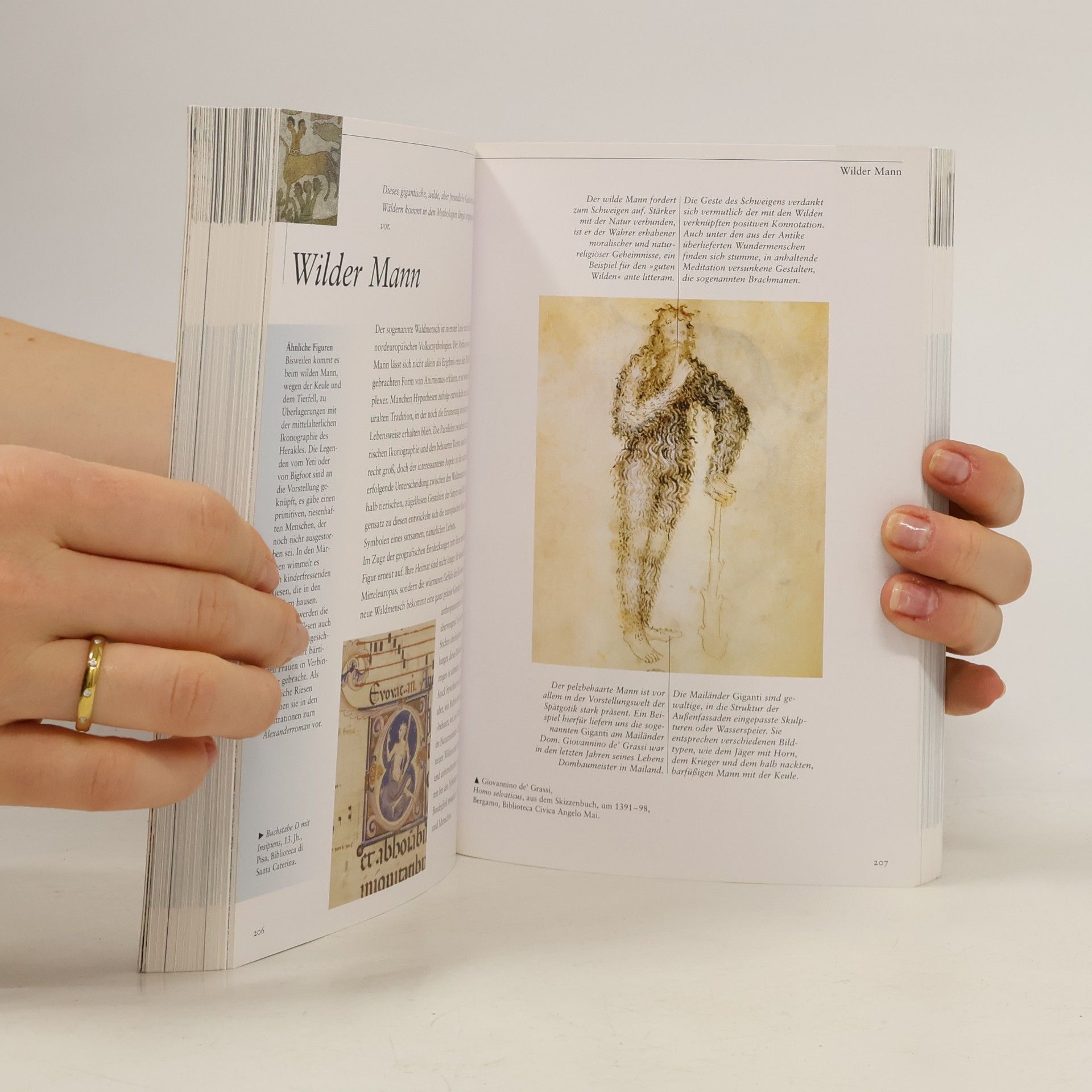 Francesca Pellegrino Geografie und imaginäre Welten