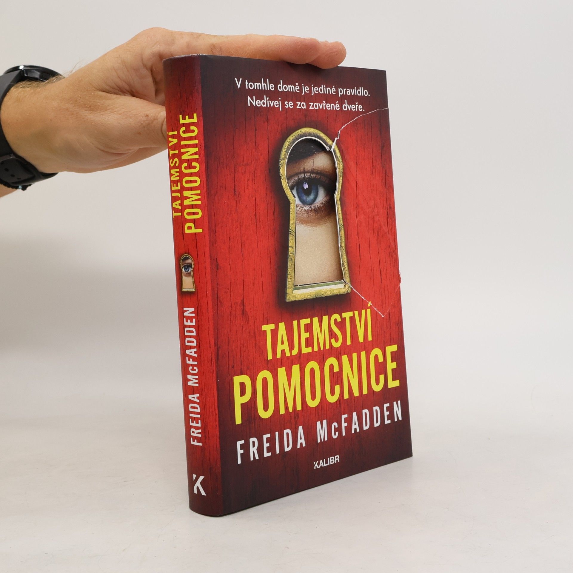 Freida McFadden Tajemství pomocnice