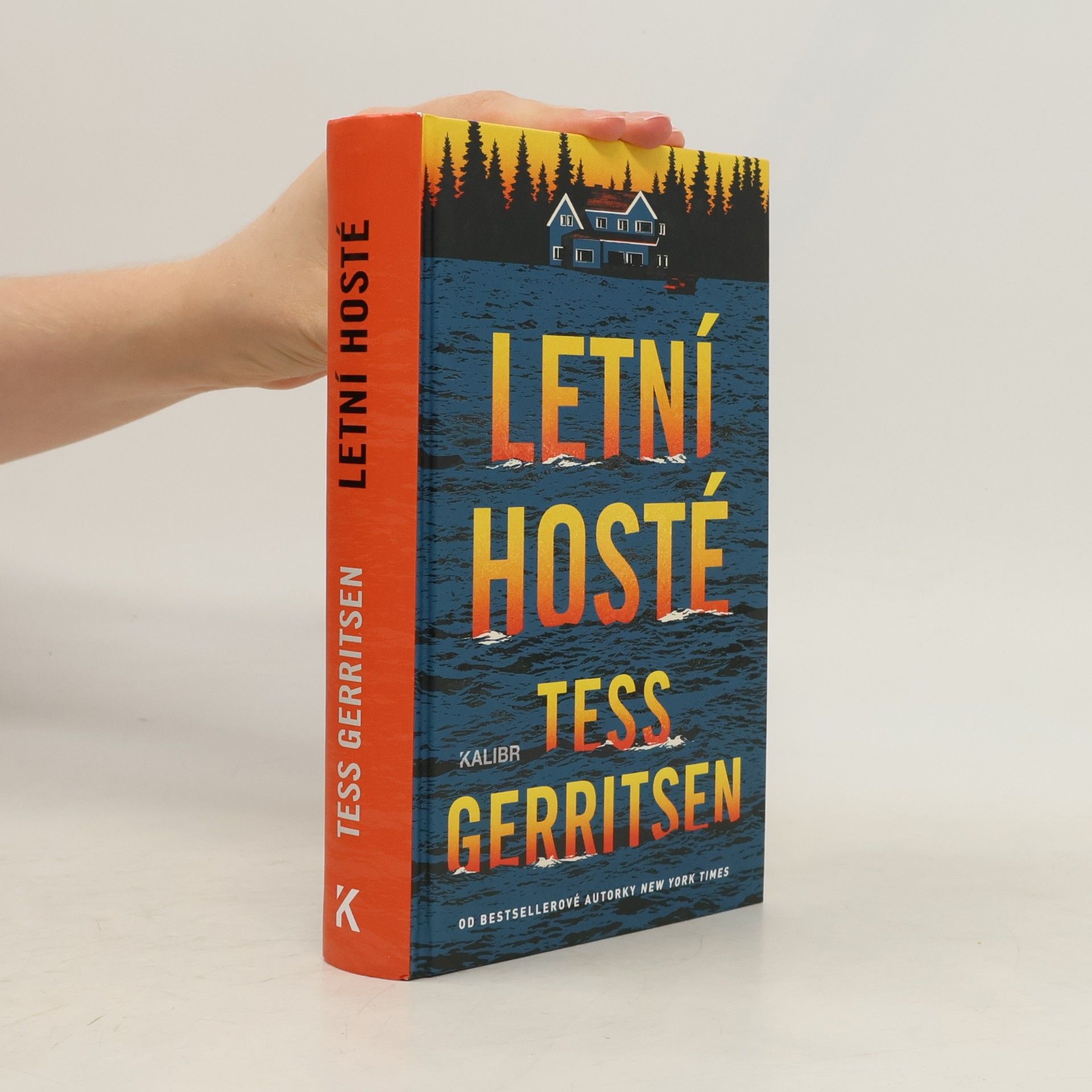 Lucie Johnová Letní hosté