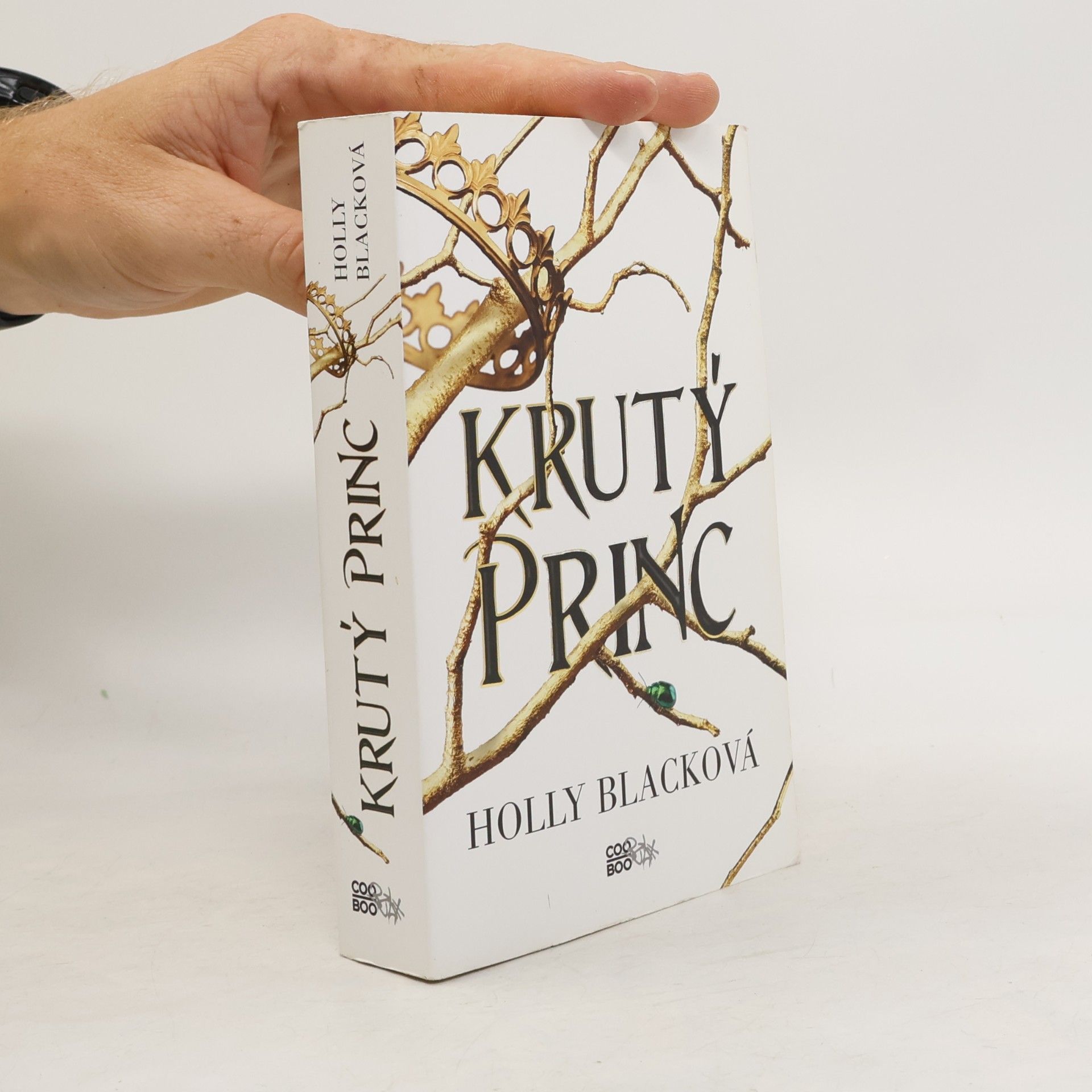Holly Black Krutý princ 1. Krutý princ