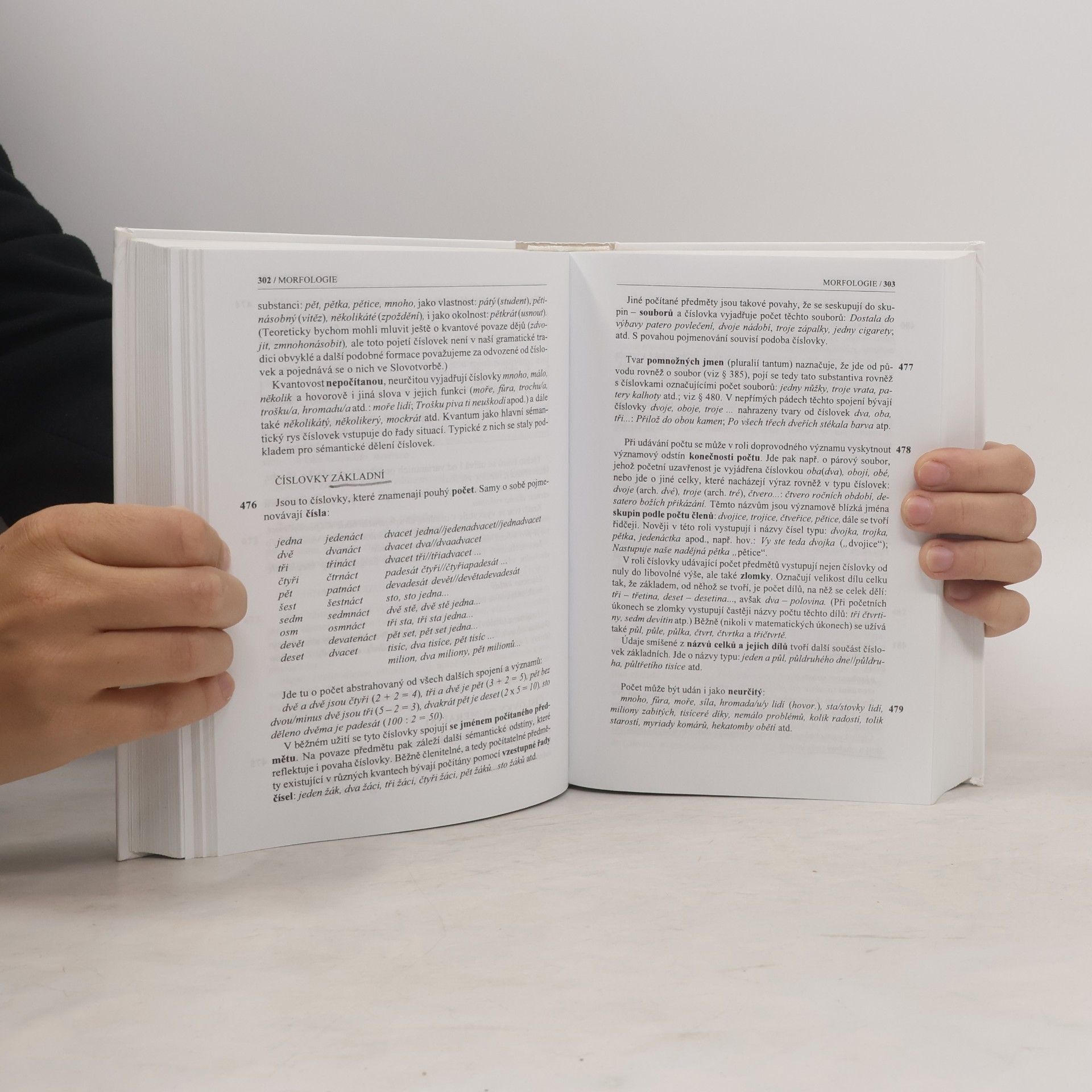 Collectif d'auteurs Příruční mluvnice češtiny