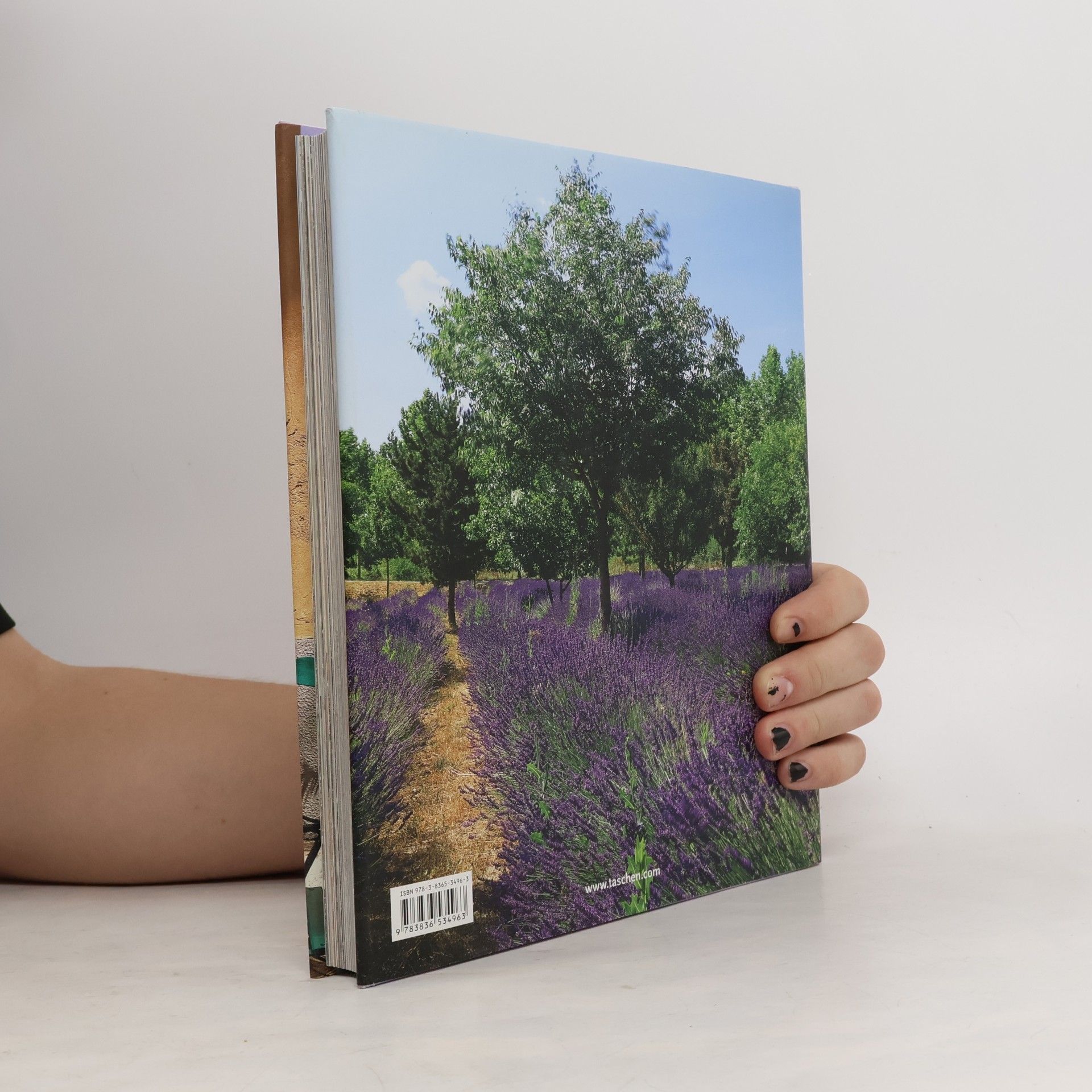 Barbara Stoeltie Living in Provence