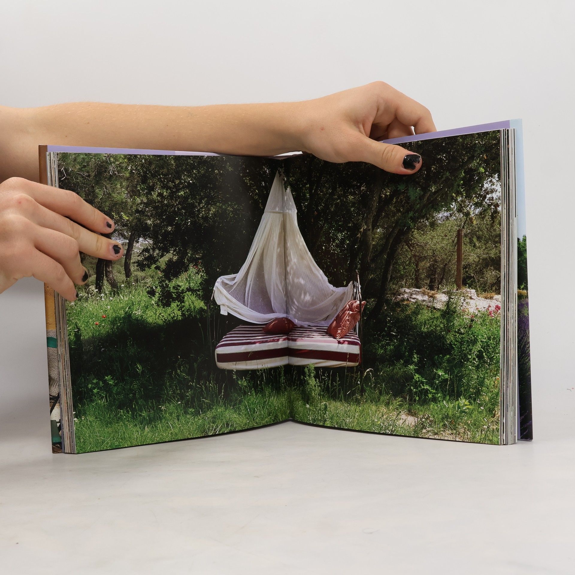 Barbara Stoeltie Living in Provence