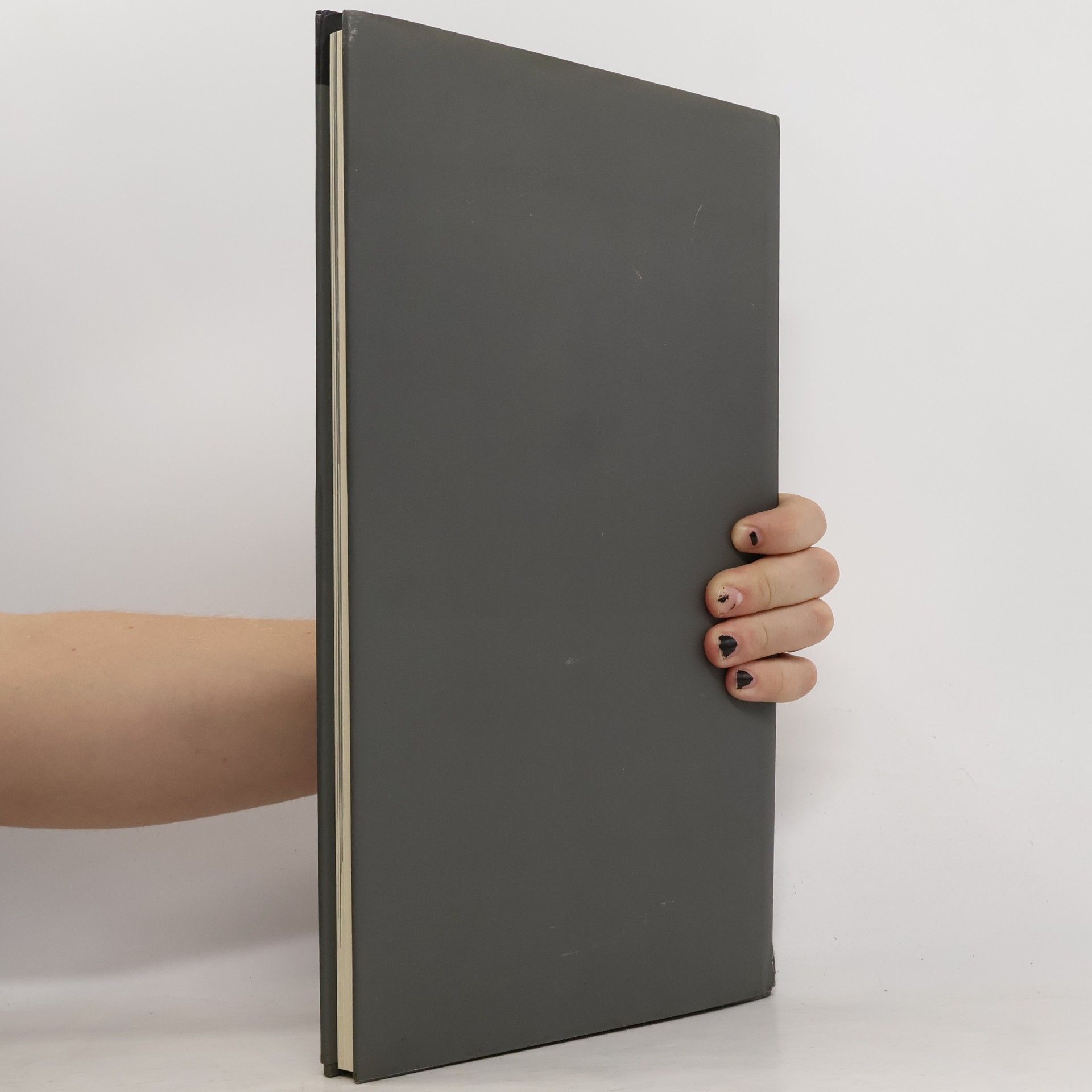 Joseph Kosuth Gäste und Fremde. Goethes Italienische Reise