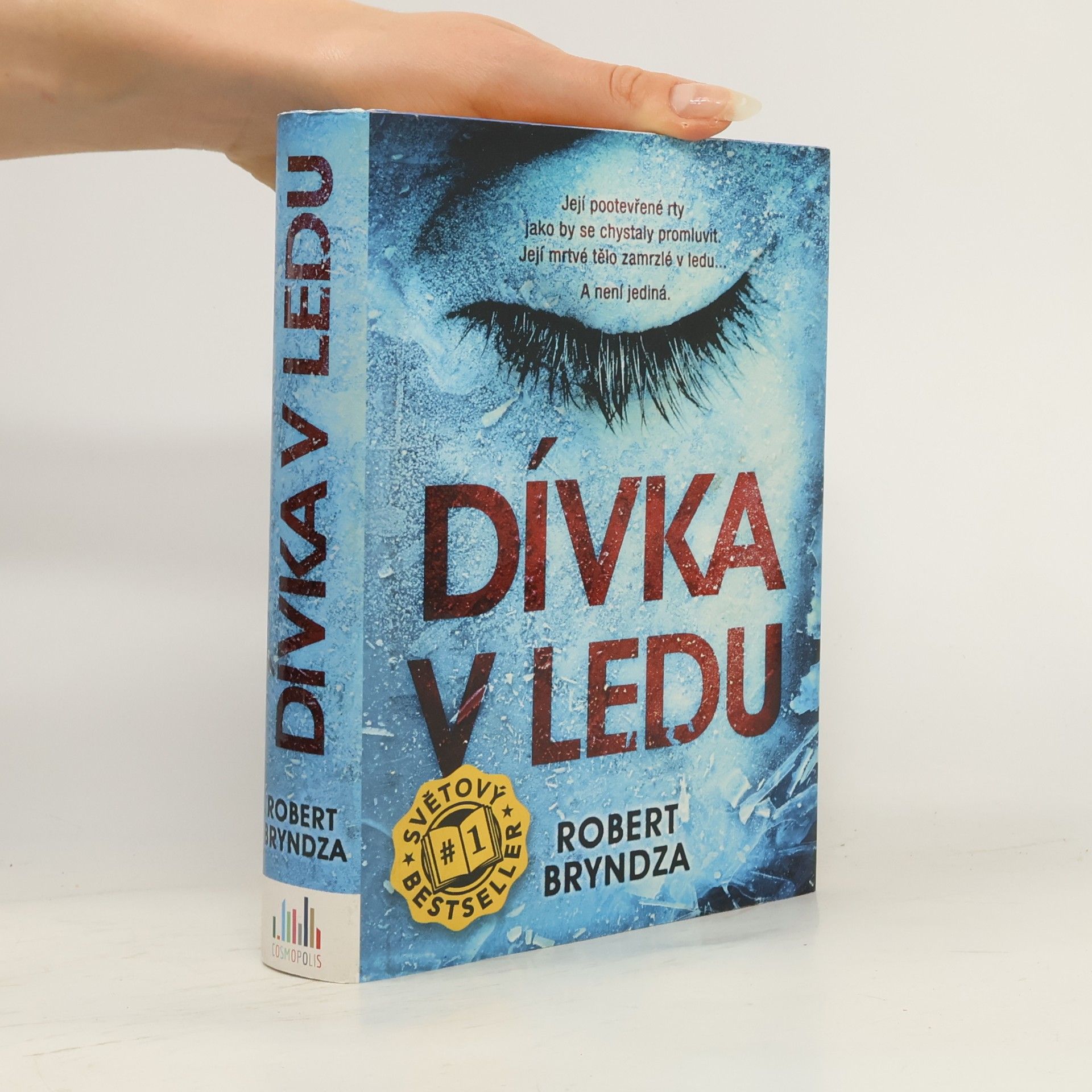 Robert Bryndza Dívka v ledu