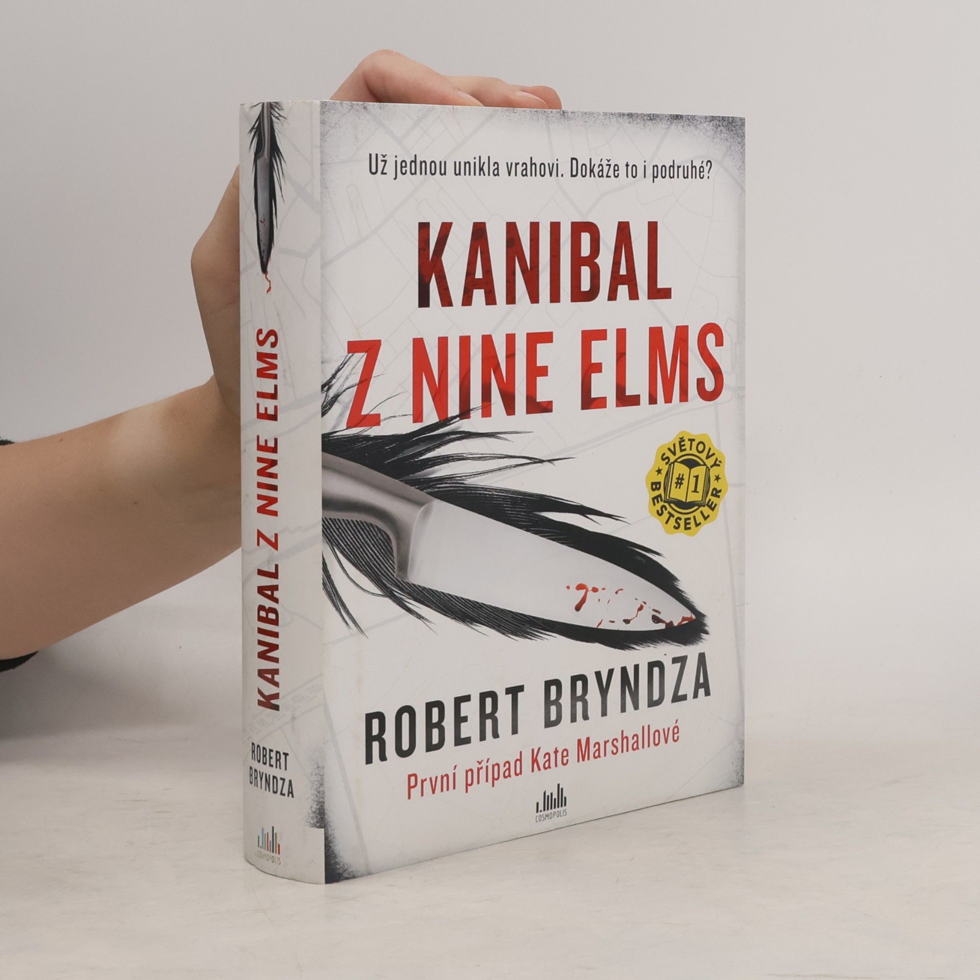 Robert Bryndza Kanibal z Nine Elms