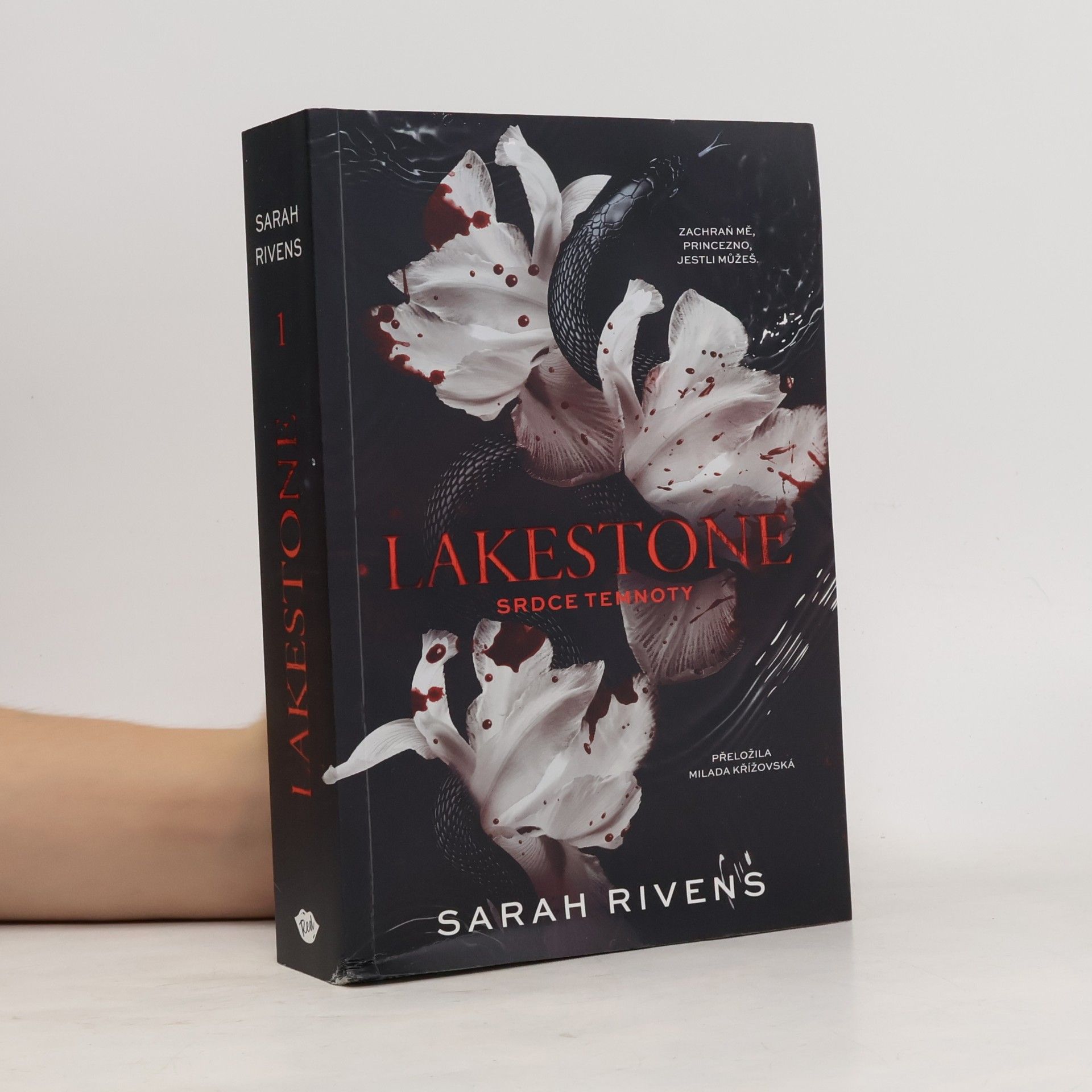 Lakestone: Srdce temnoty