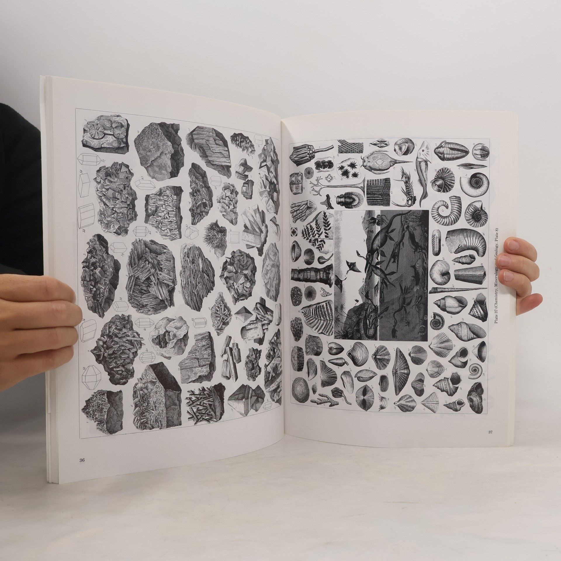 Johann Georg Heck Dover Pictorial Archive Series: Heck's Pictorial Archive of Nature and Science