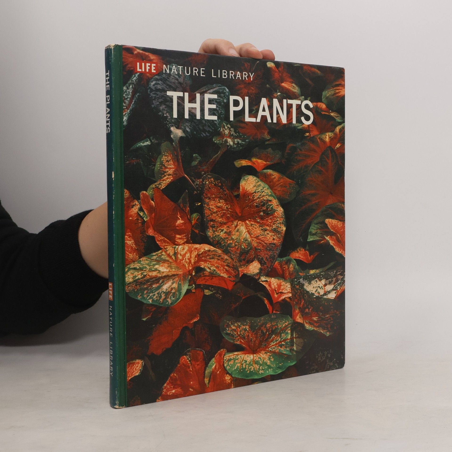 Autorenkollektiv The plants