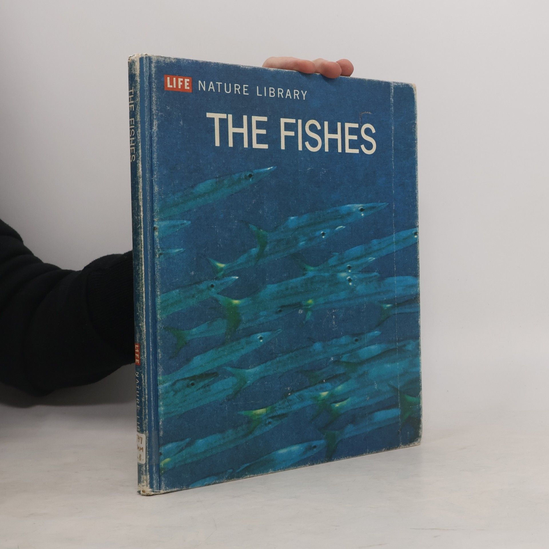 Collectif d'auteurs The Fishes