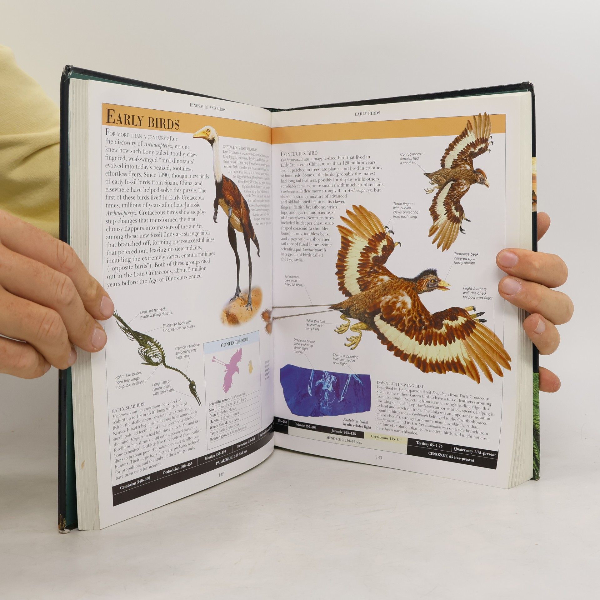 D.K. Publishing Encyclopedia of Dinosaurs and Prehistoric Life