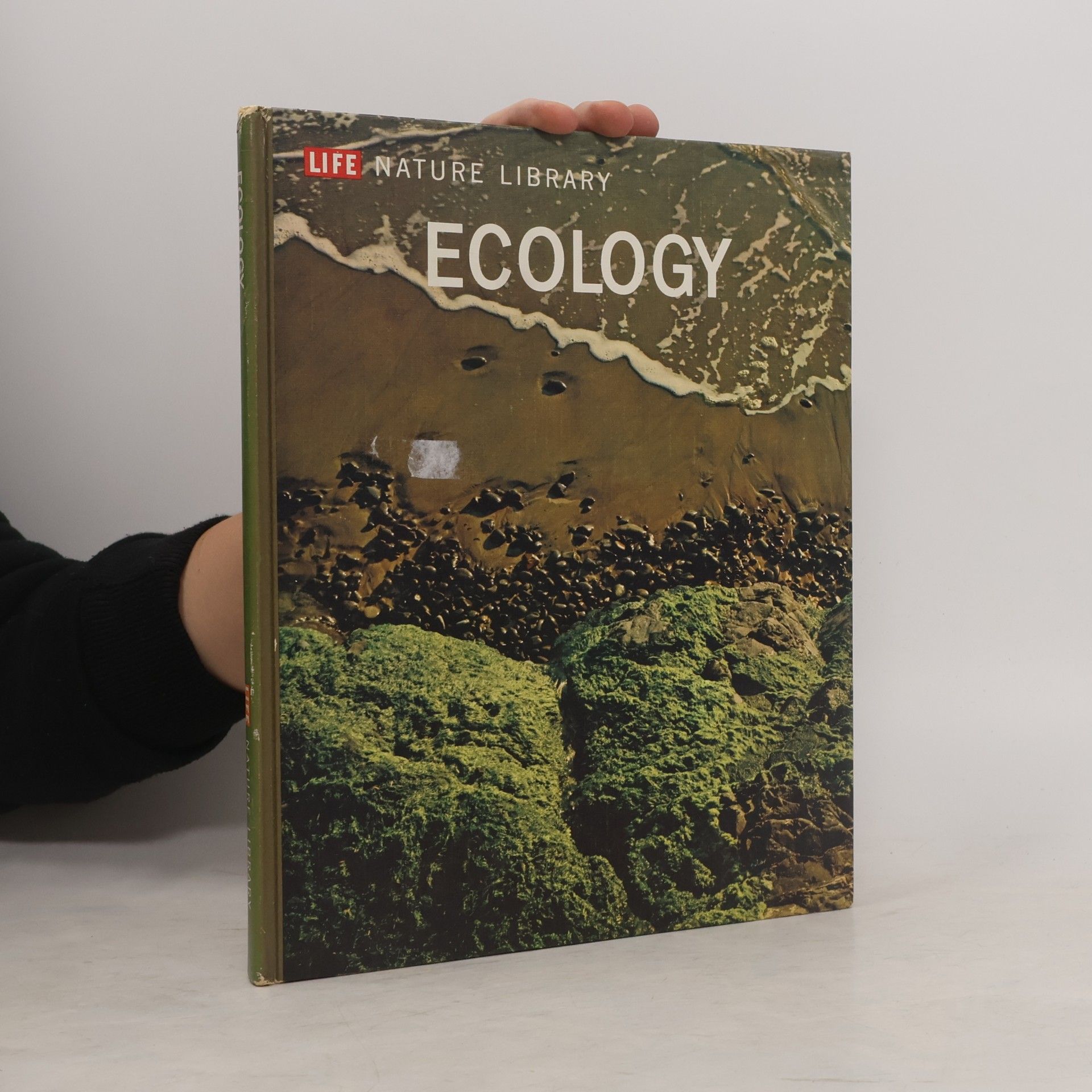 kolektiv Ecology