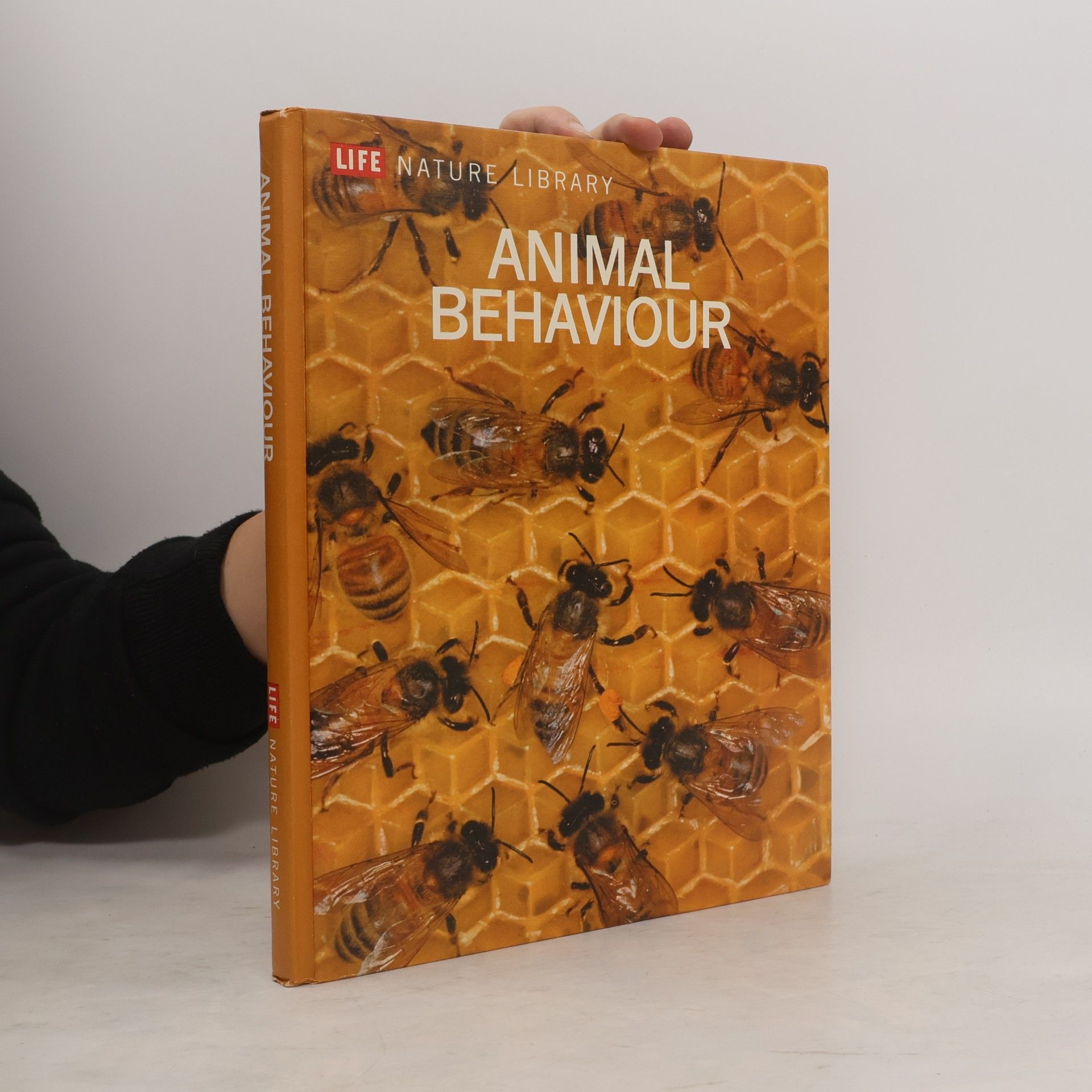 kolektiv Animal Behaviour