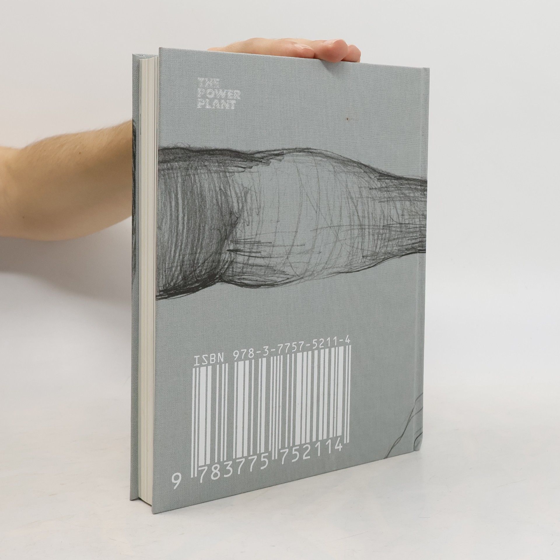 Miriam Cahn Miriam Cahn
