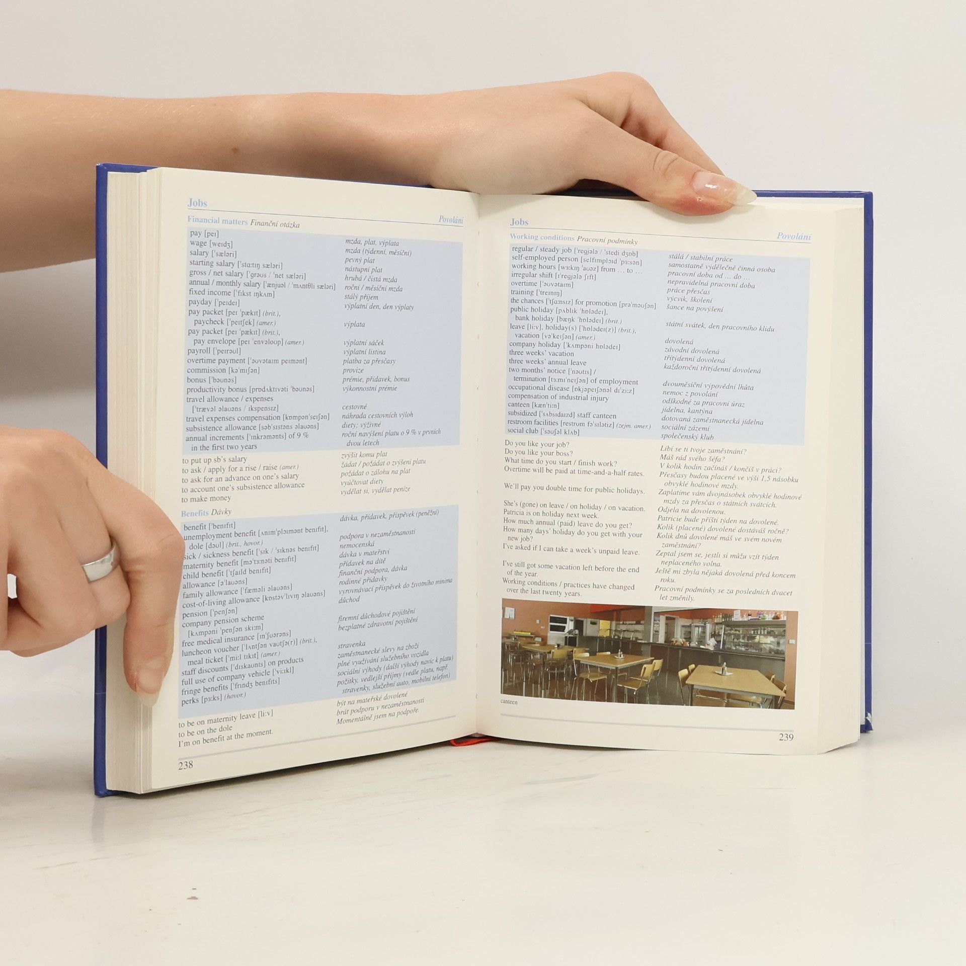 Jiří Fraus Fraus ilustrovaný tematický slovník: Anglicko-český