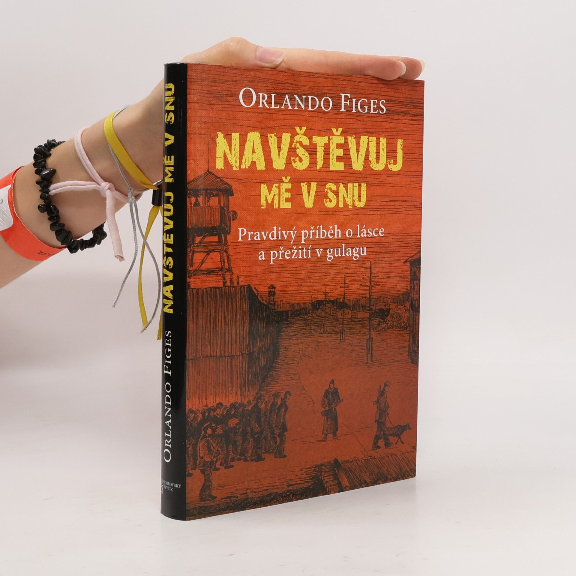 Navštěvuj mě v snu : pravdivý příběh o lásce a přežití v gulagu