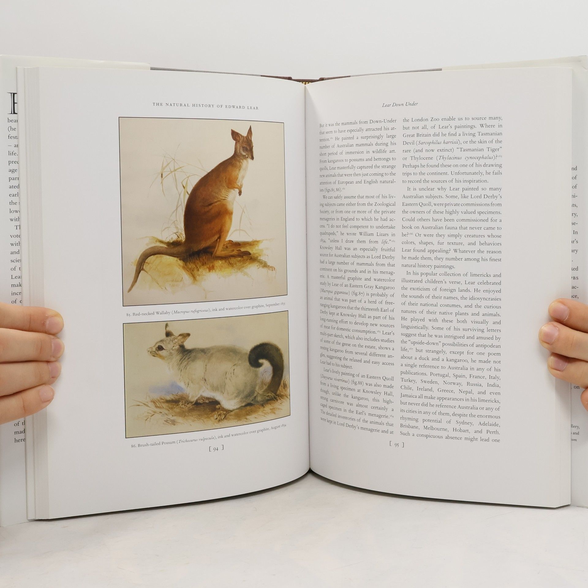 Robert McCracken Peck The Natural History of Edward Lear