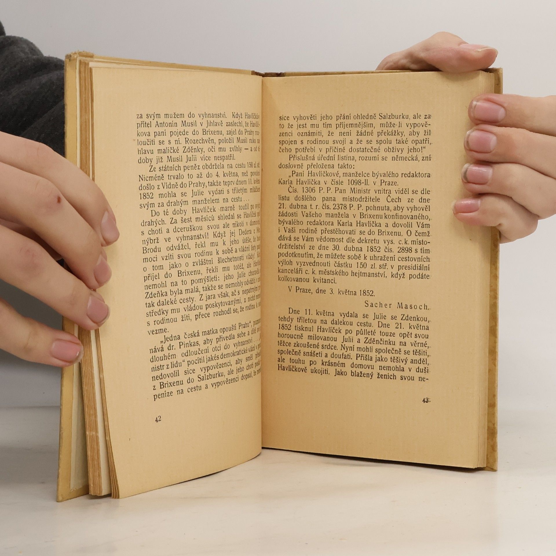 Karel Novotný Co jsem poznal srdce Tvé. Studie k biografii Havlíčkovy choti Julie