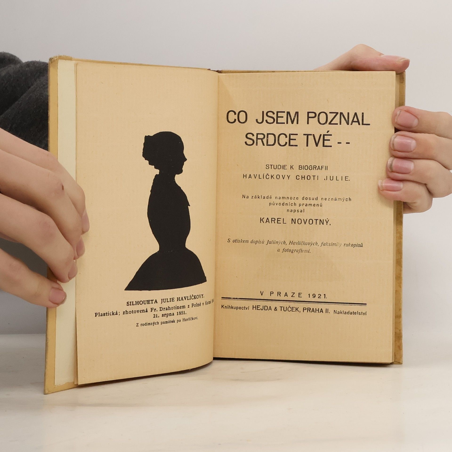 Karel Novotný Co jsem poznal srdce Tvé. Studie k biografii Havlíčkovy choti Julie
