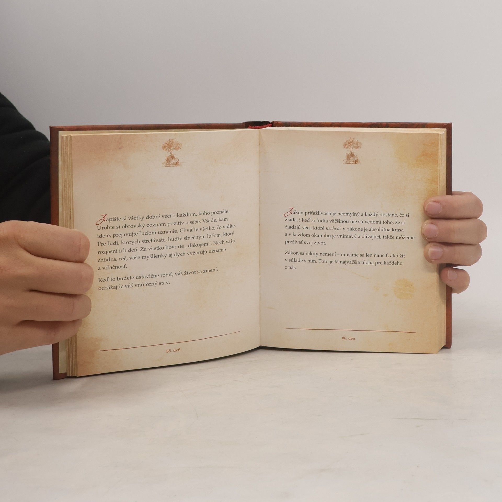 Rhonda Byrne Myšlienky na každý deň