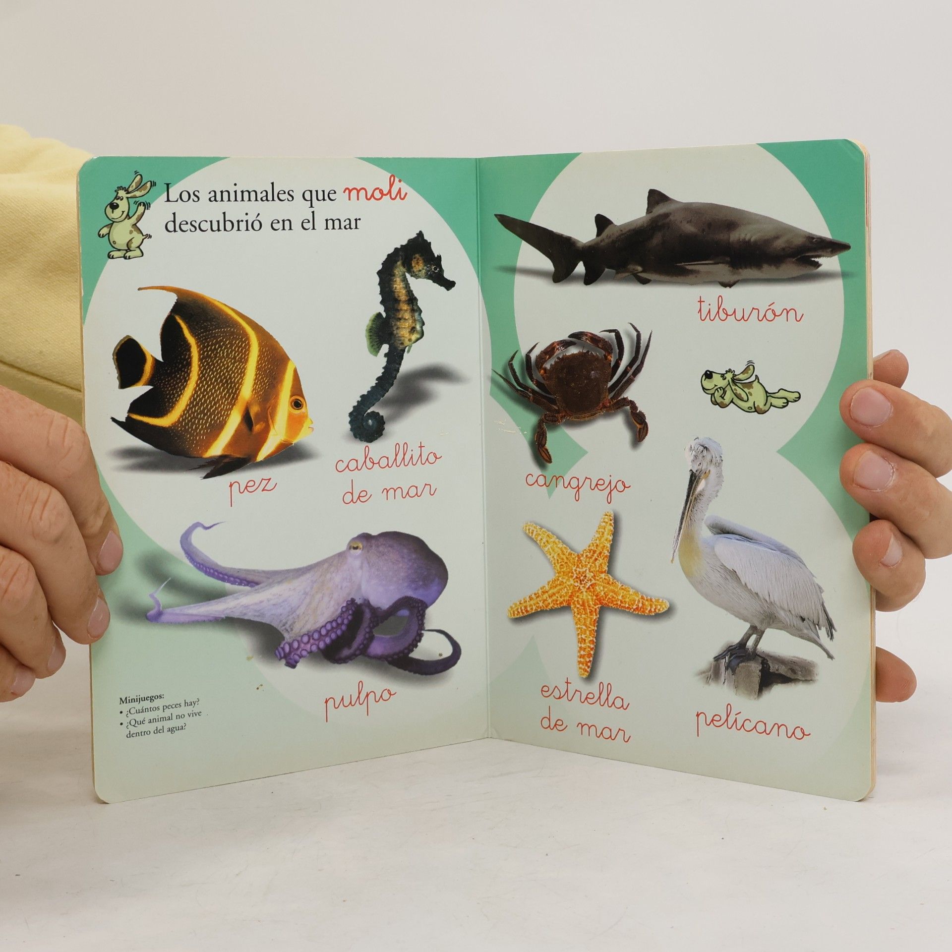Moli te enseña los animales salvajes