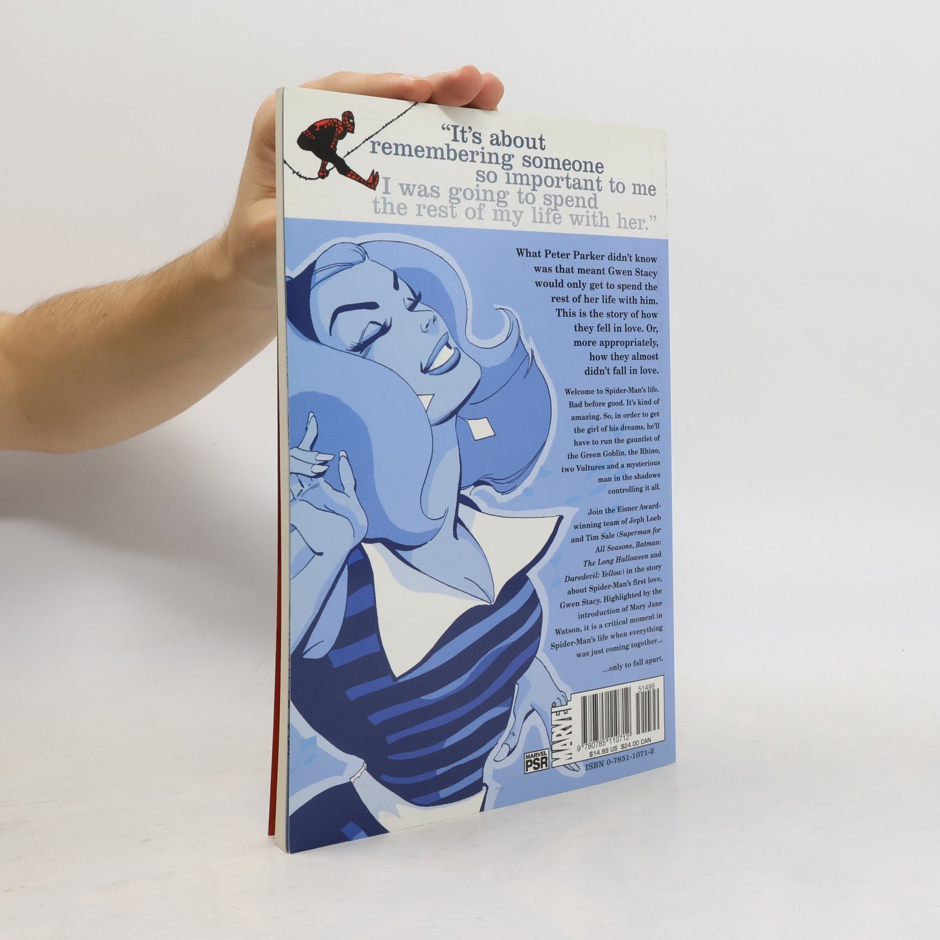 Jeph Loeb Spider-man: Blue