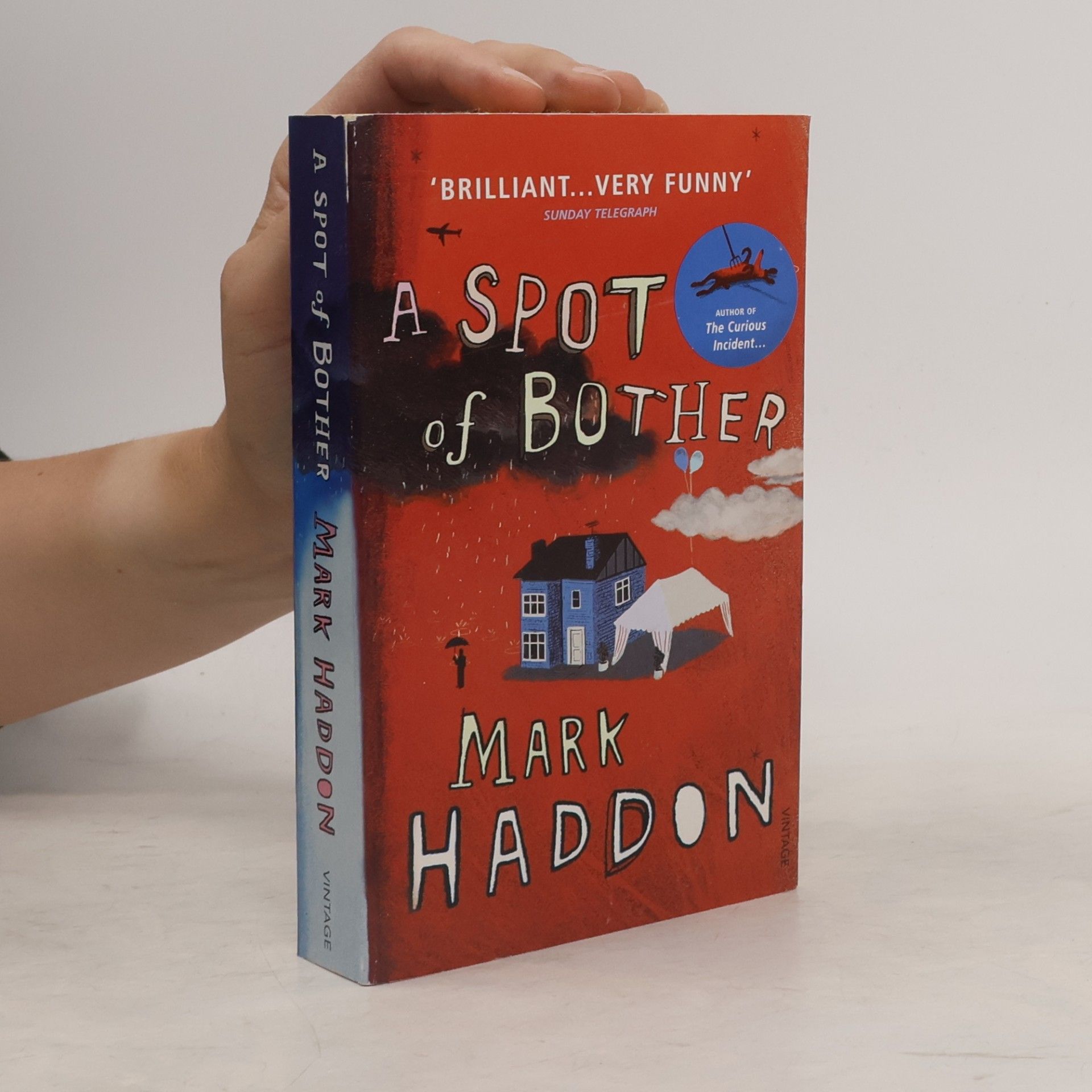 Mark Haddon A Spot of Bother