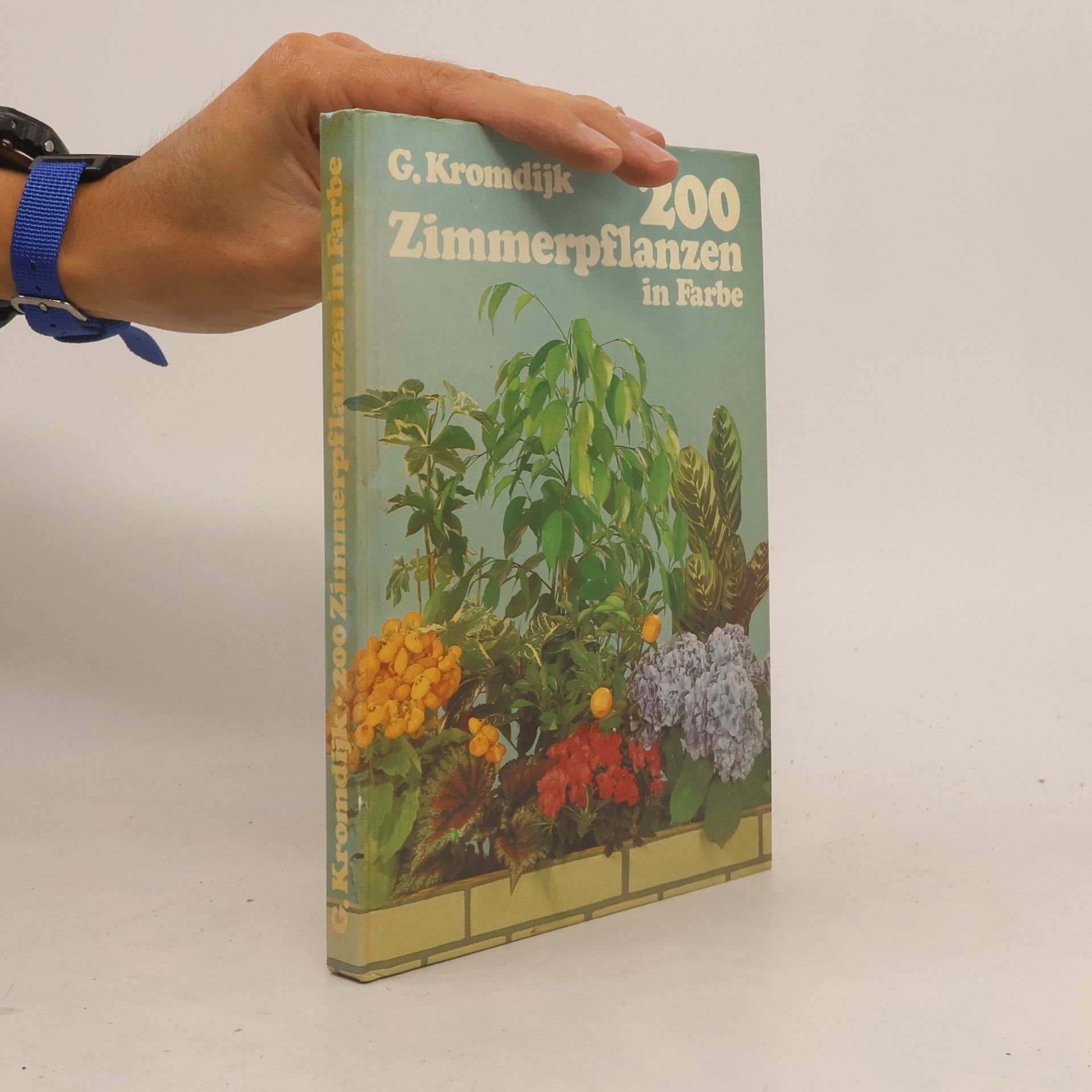 G. Kromdijk 200 Zimmerpflanzen in Farbe