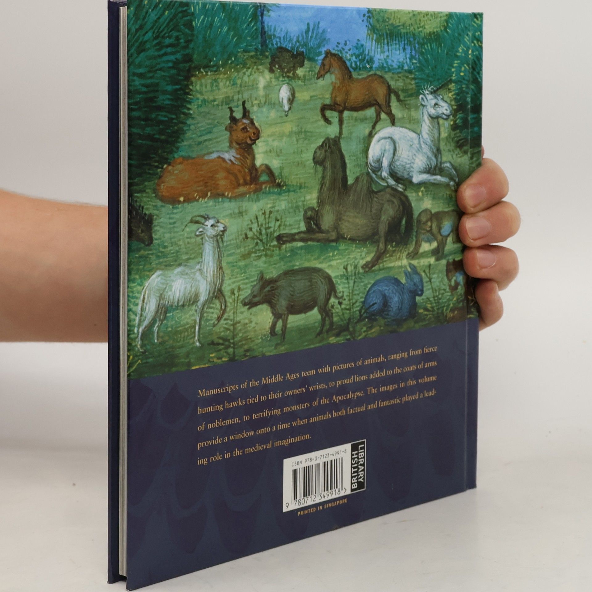 Elizabeth Morrison The Medieval Imagination: Beasts