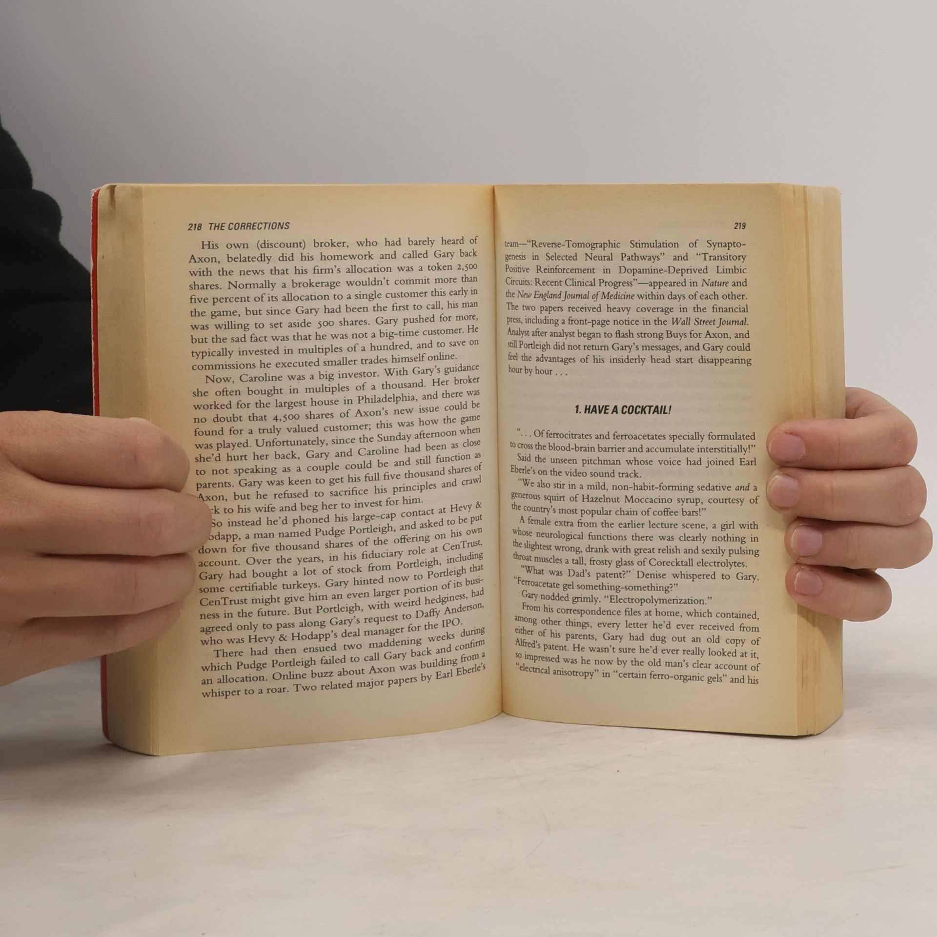 Jonathan Franzen The Corrections