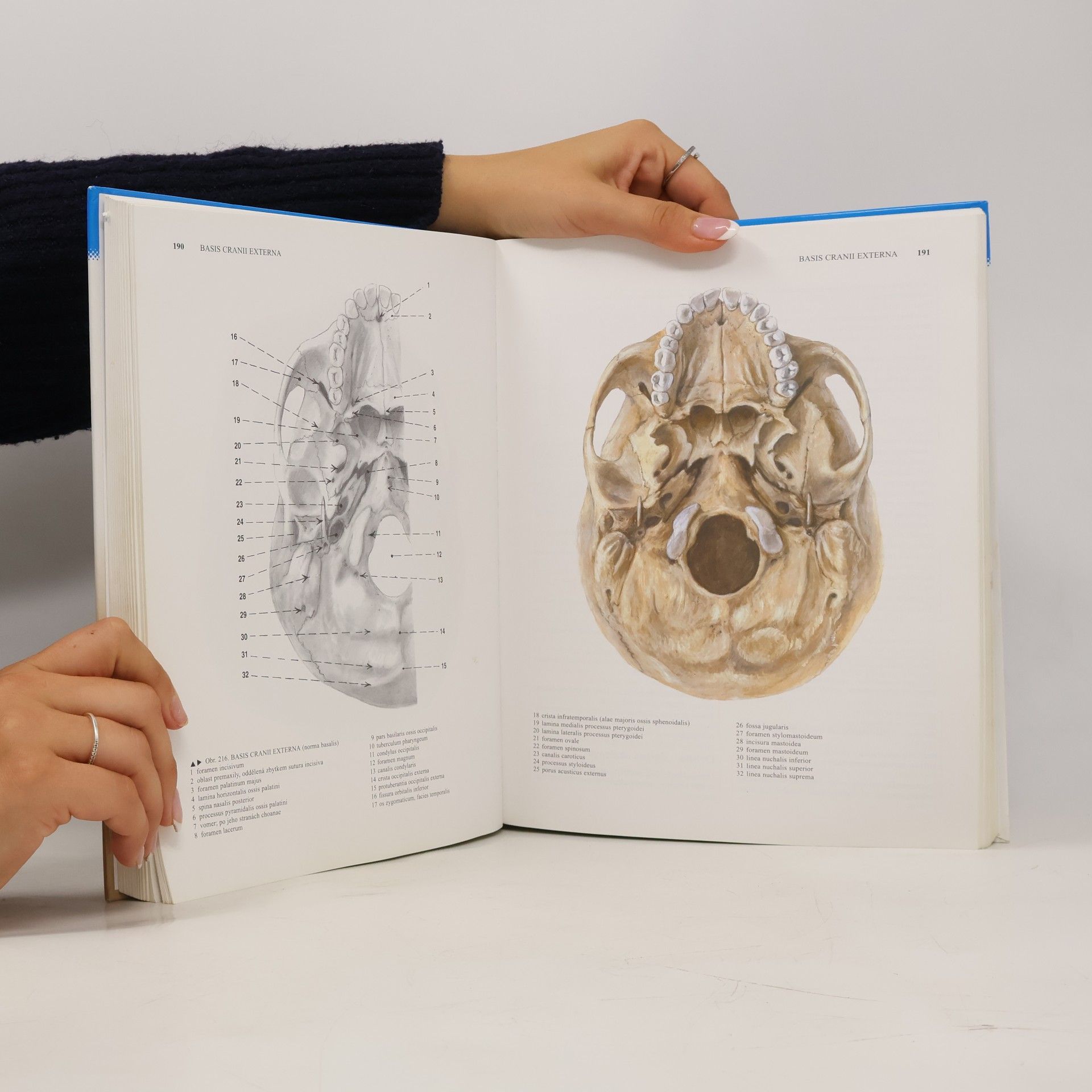 Radomír Čihák Anatomie 1