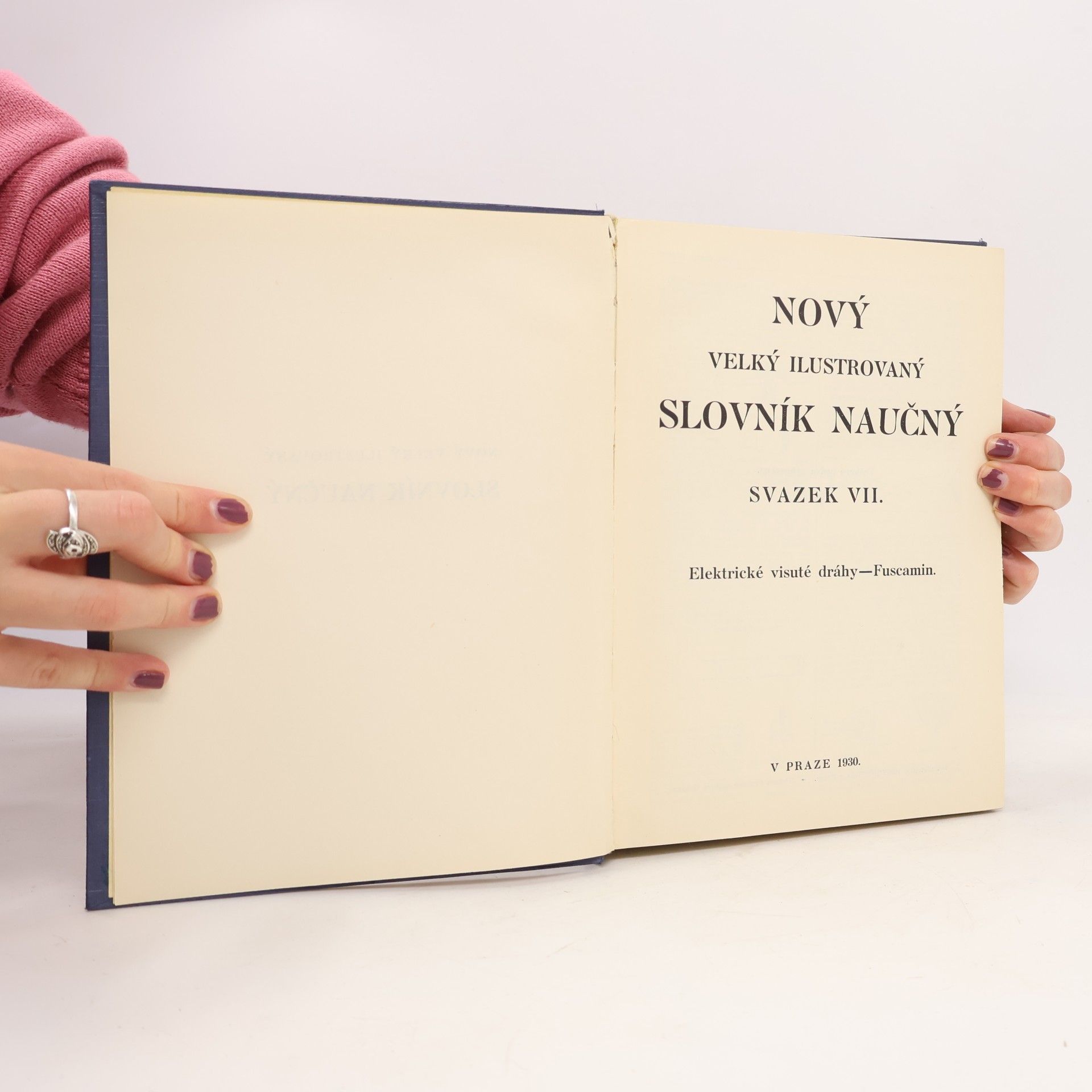 Collectif d'auteurs Nový velký ilustrovaný slovník naučný VIII.