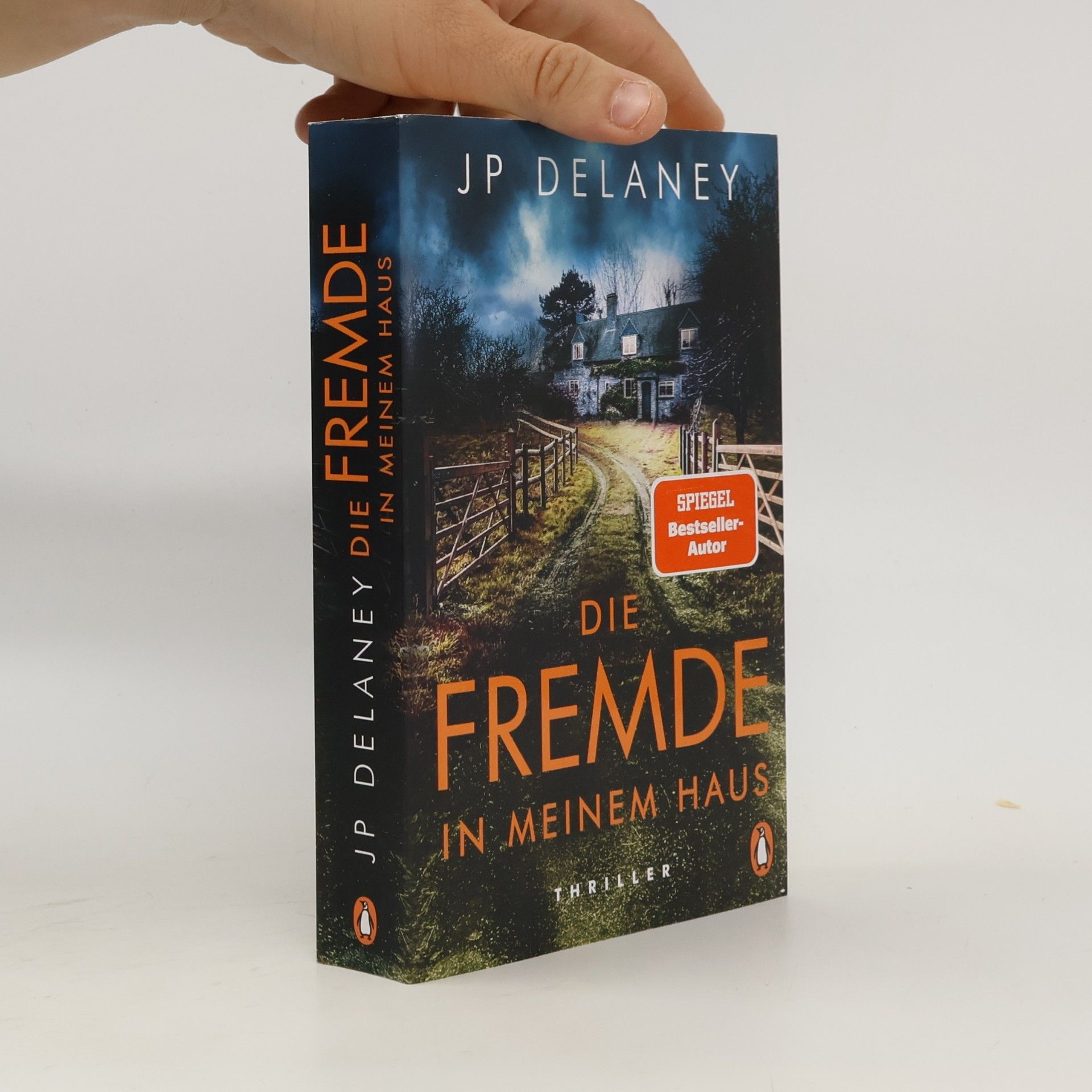 J. P. Delaney Die Fremde in meinem Haus