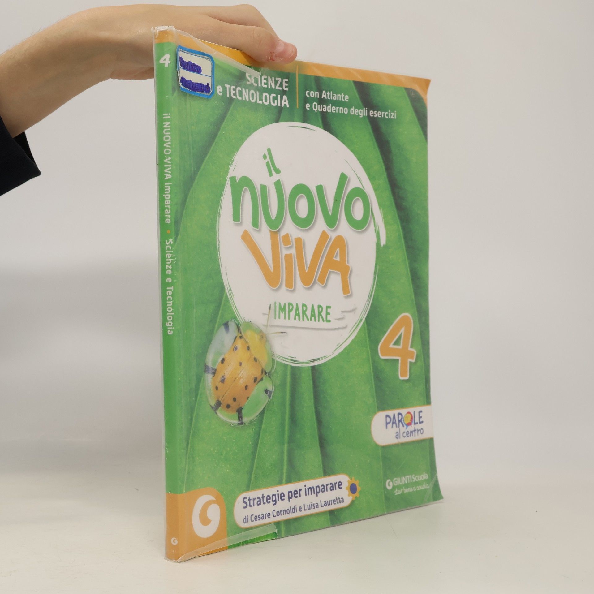 Paola Anna Sacchetti Il Nuovo Viva Imparare 4