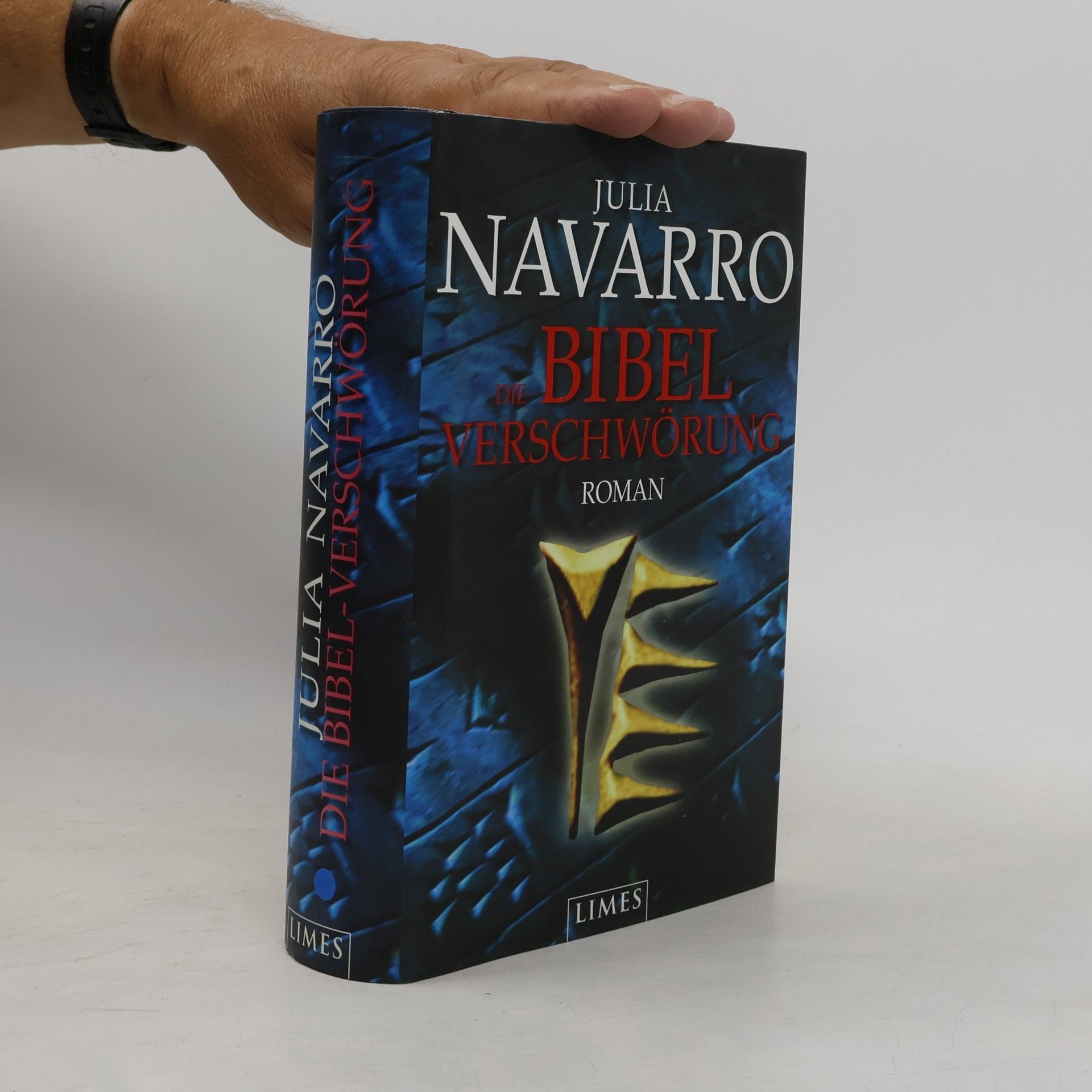 Julia Navarro Die Bibel-Verschwörung
