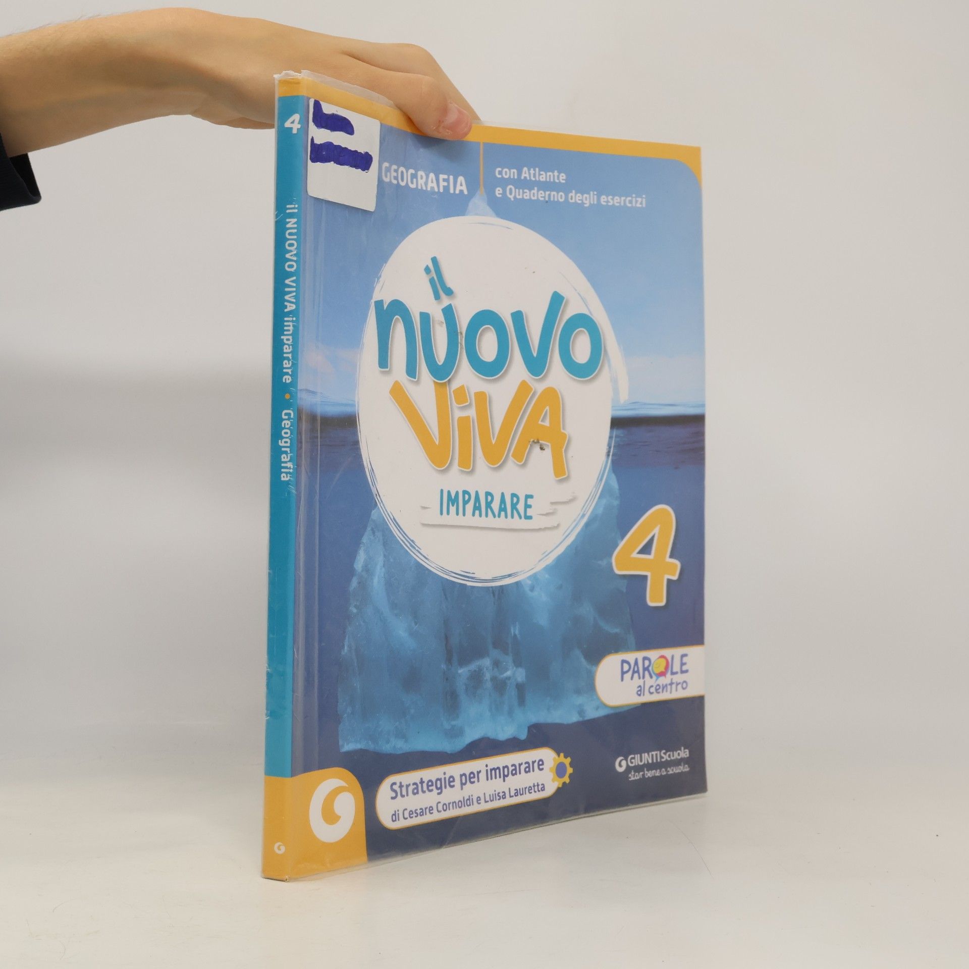 Anna Buia Geografia 4