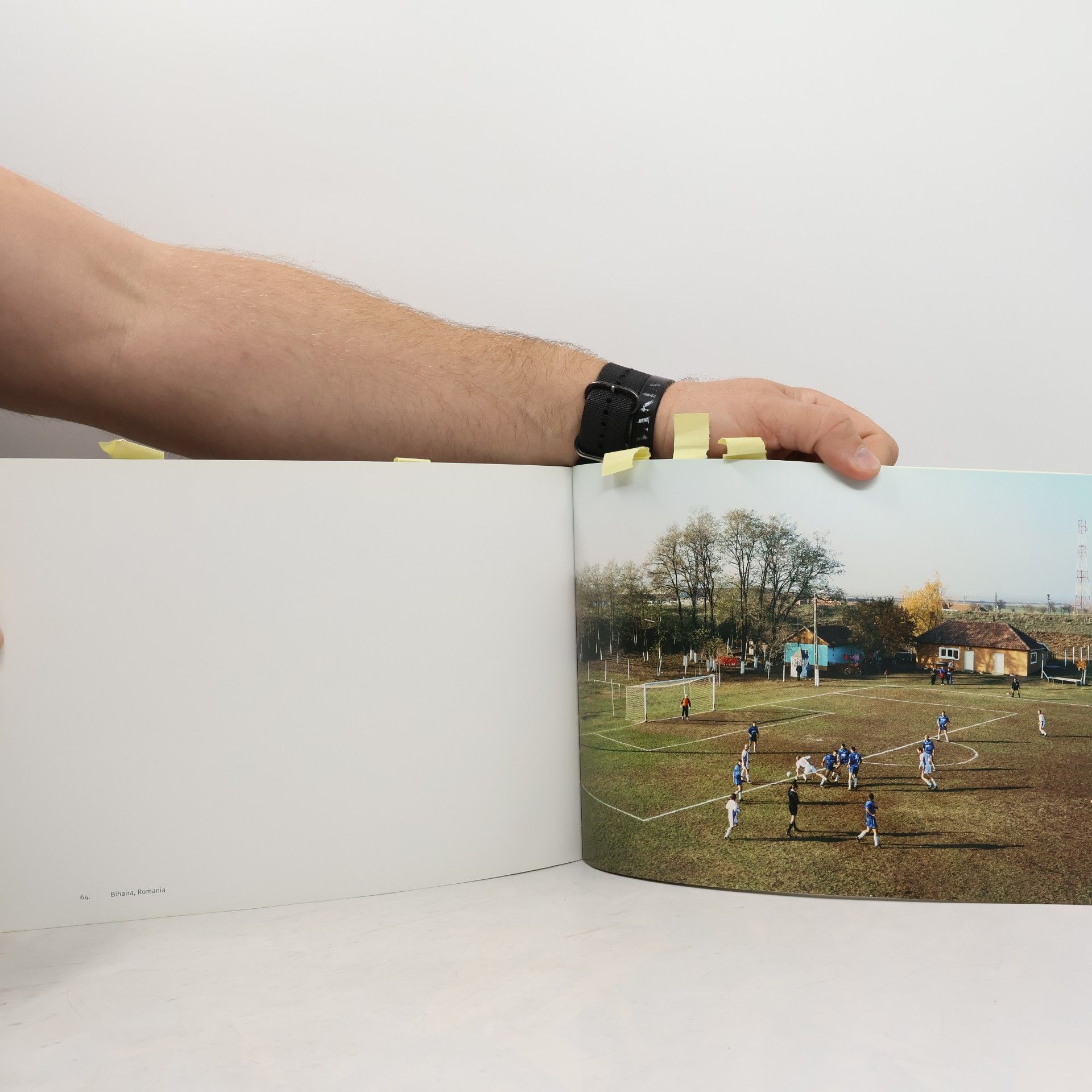 Hans van der Meer European Fields