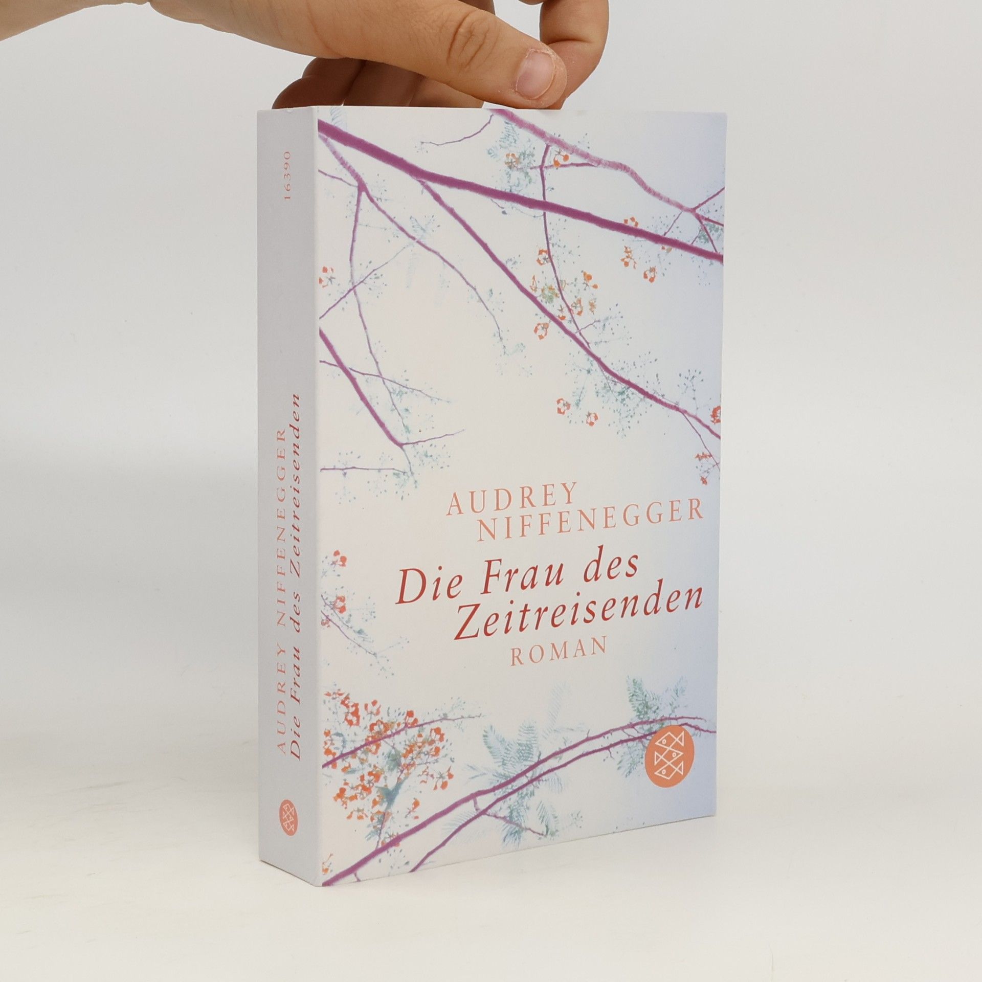 Audrey Niffenegger Die Frau des Zeitreisenden