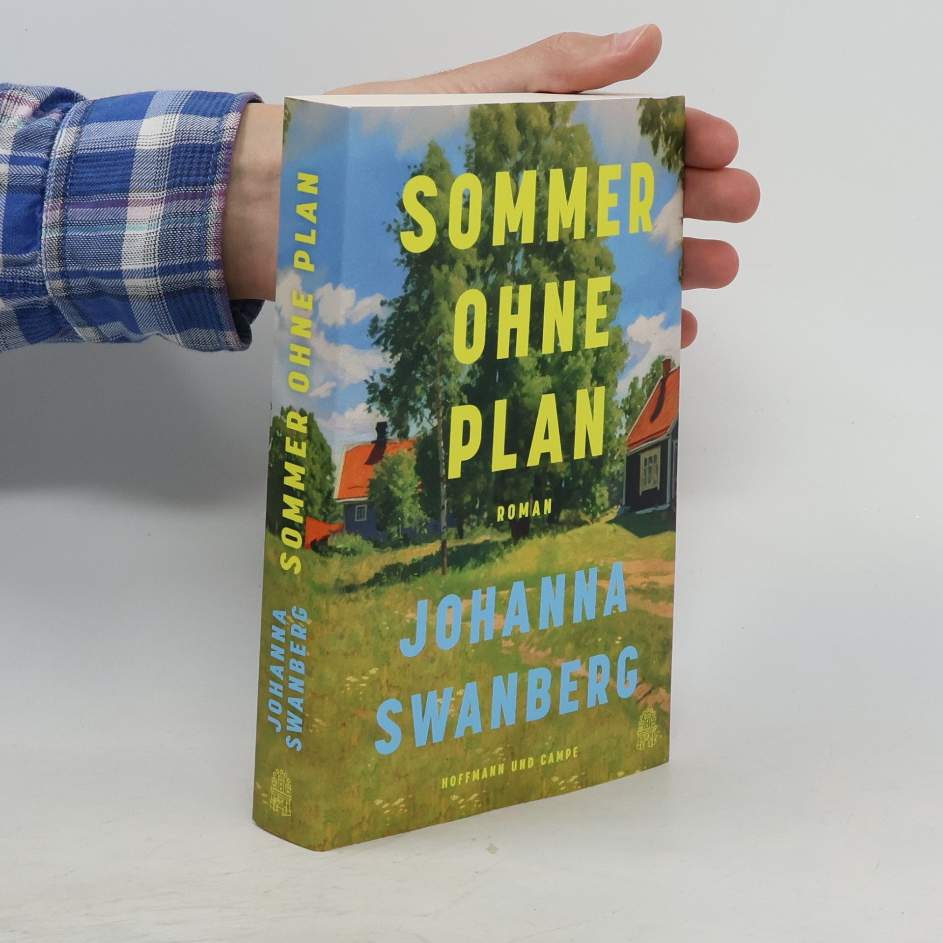 Johanna Swanberg Sommer ohne Plan