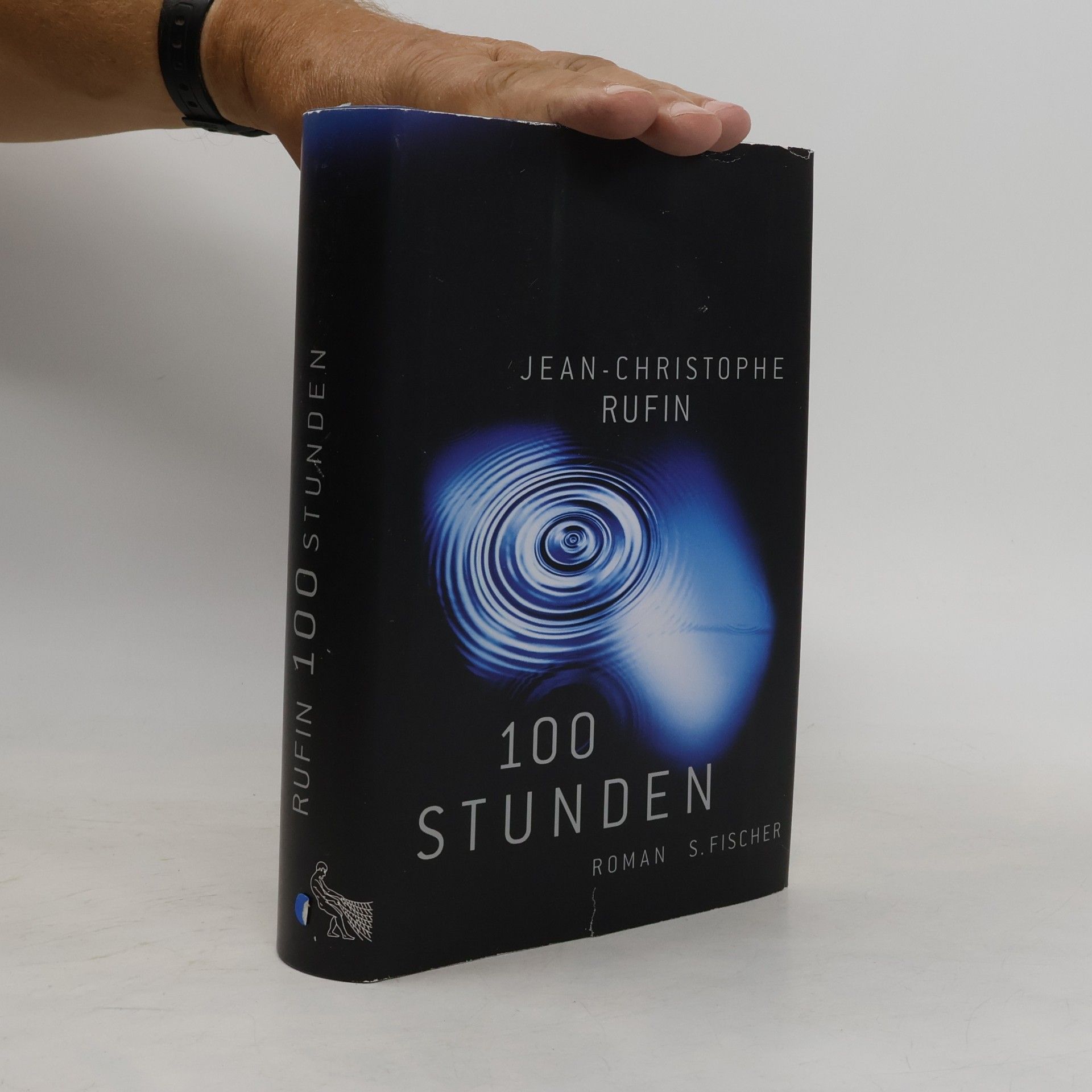 Jean-Christophe Rufin 100 Stunden
