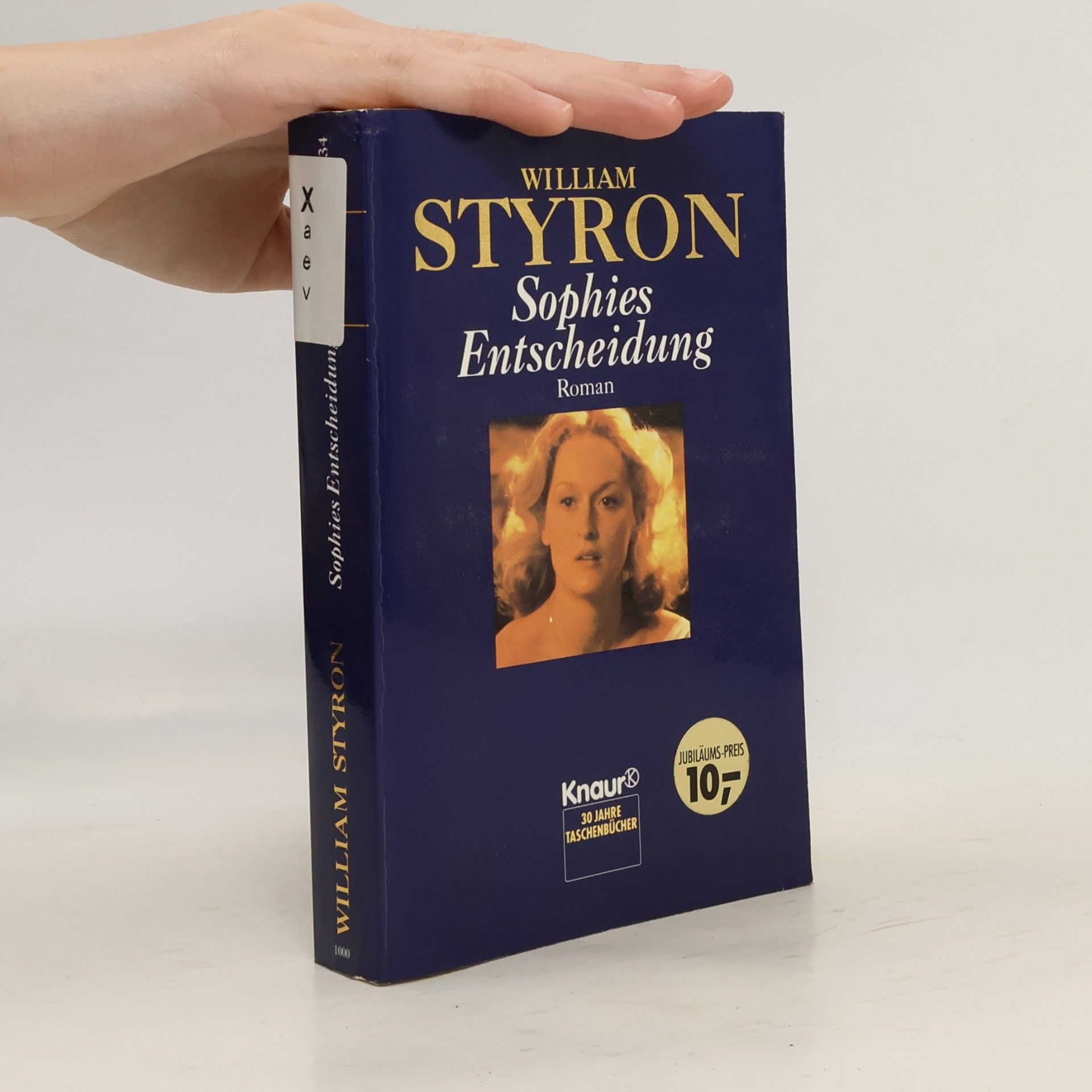 William Styron Sophies entscheidung
