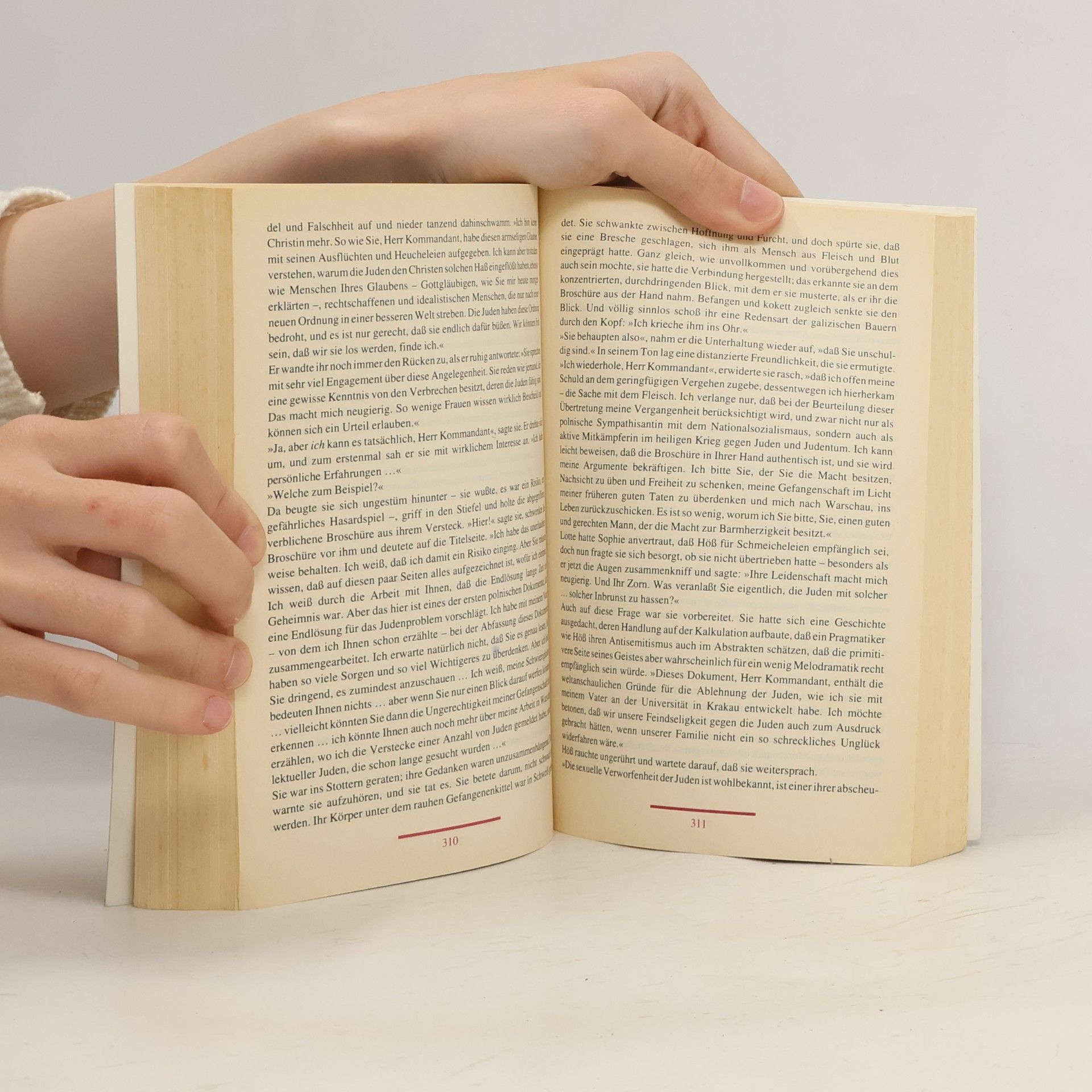 William Styron Sophies entscheidung