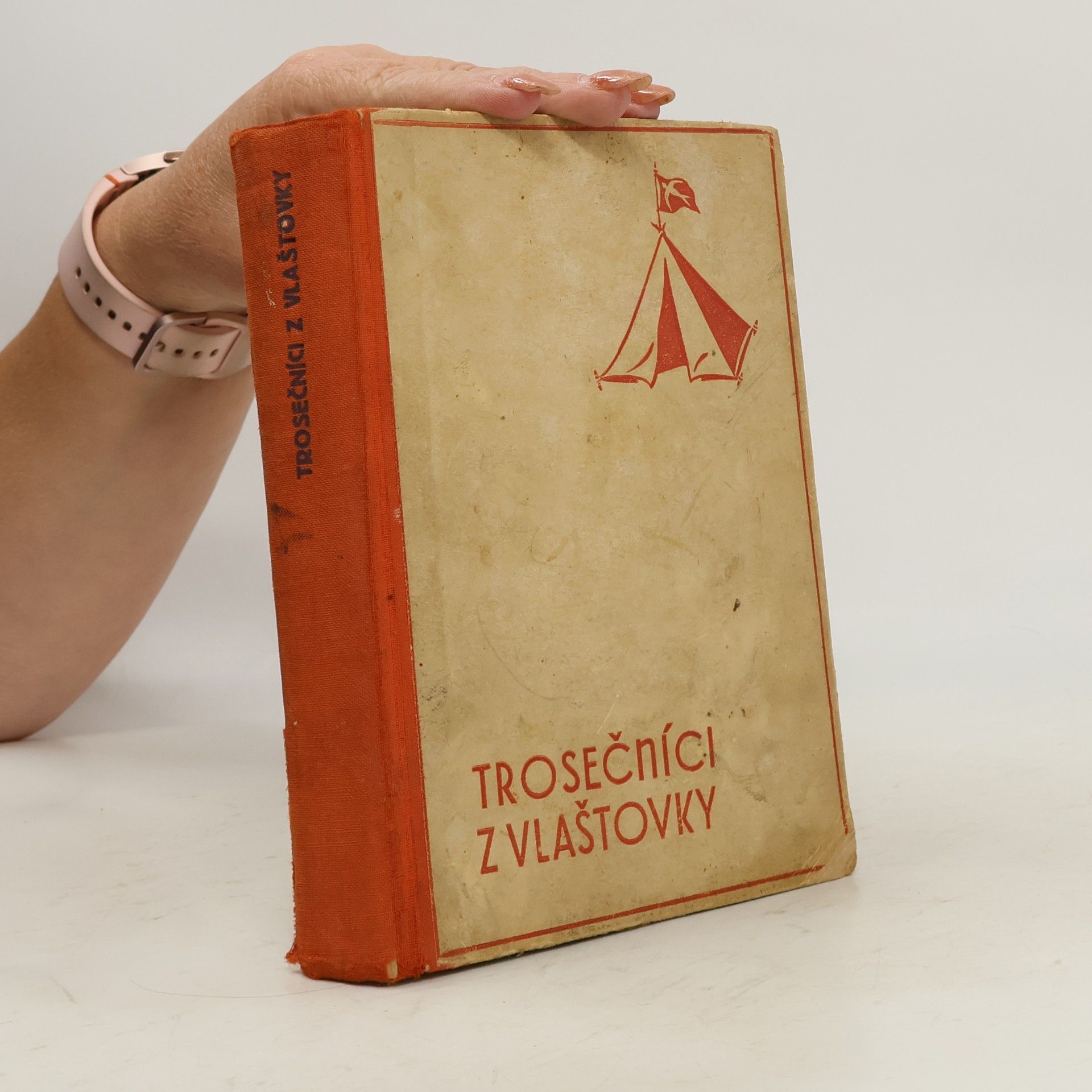 Arthur Ransome Trosečníci z Vlaštovky