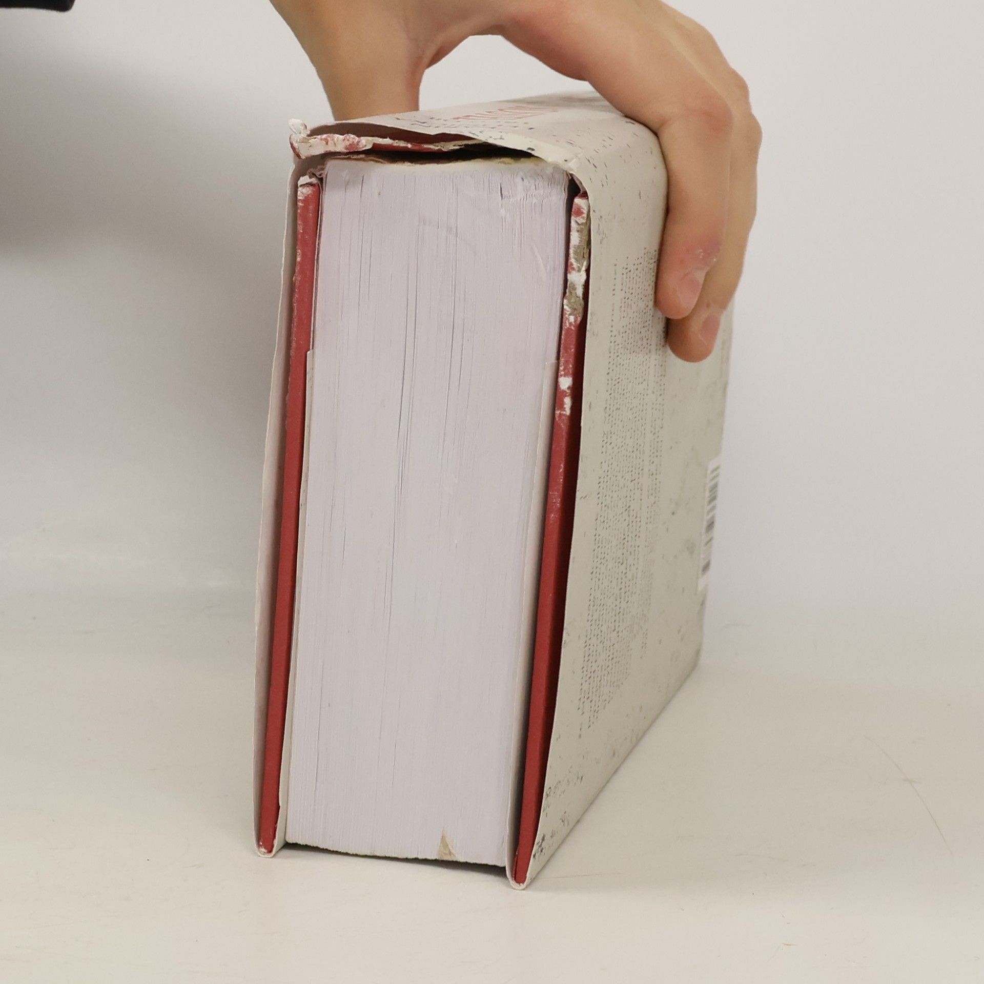 Karin Lednická Šikmý kostel 3