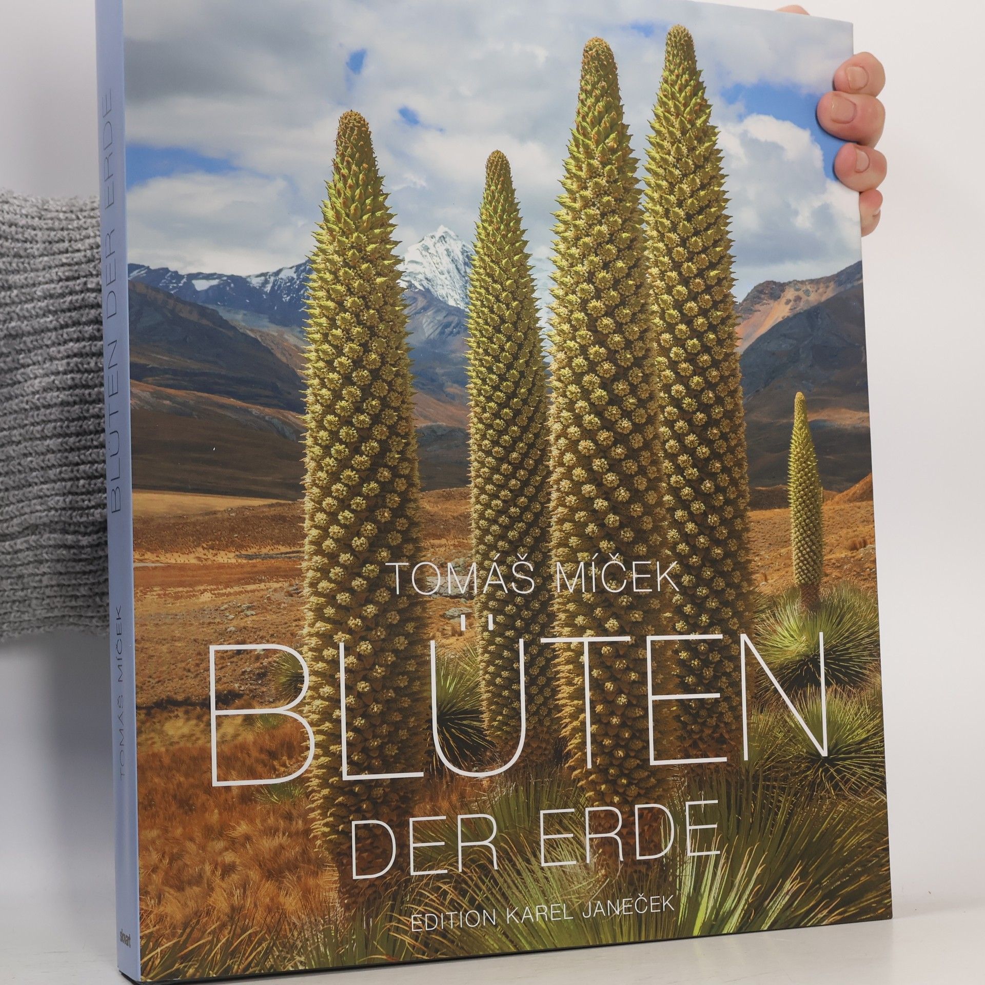 Tomáš Míček Blüten der Erde (2021)
