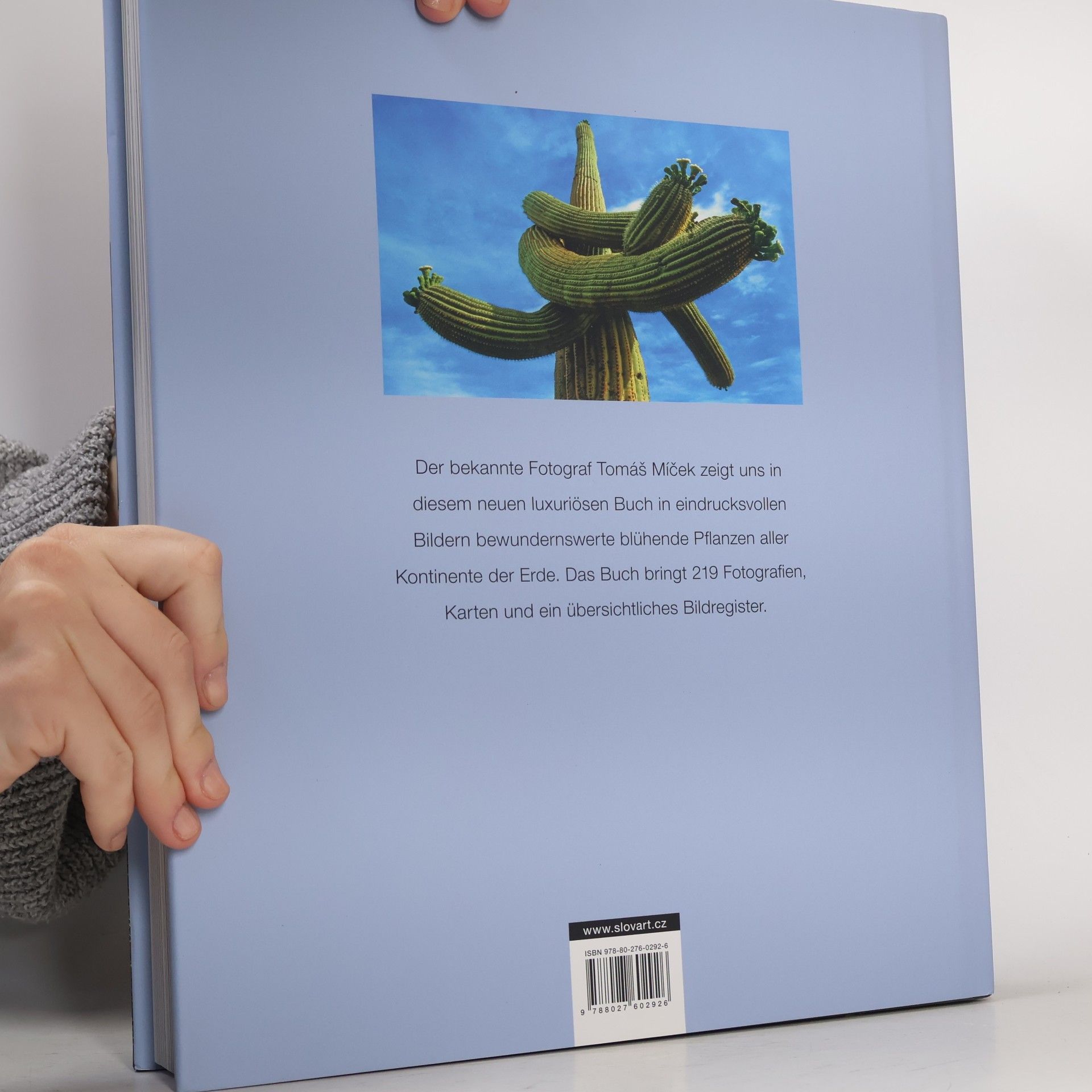 Tomáš Míček Blüten der Erde (2021)