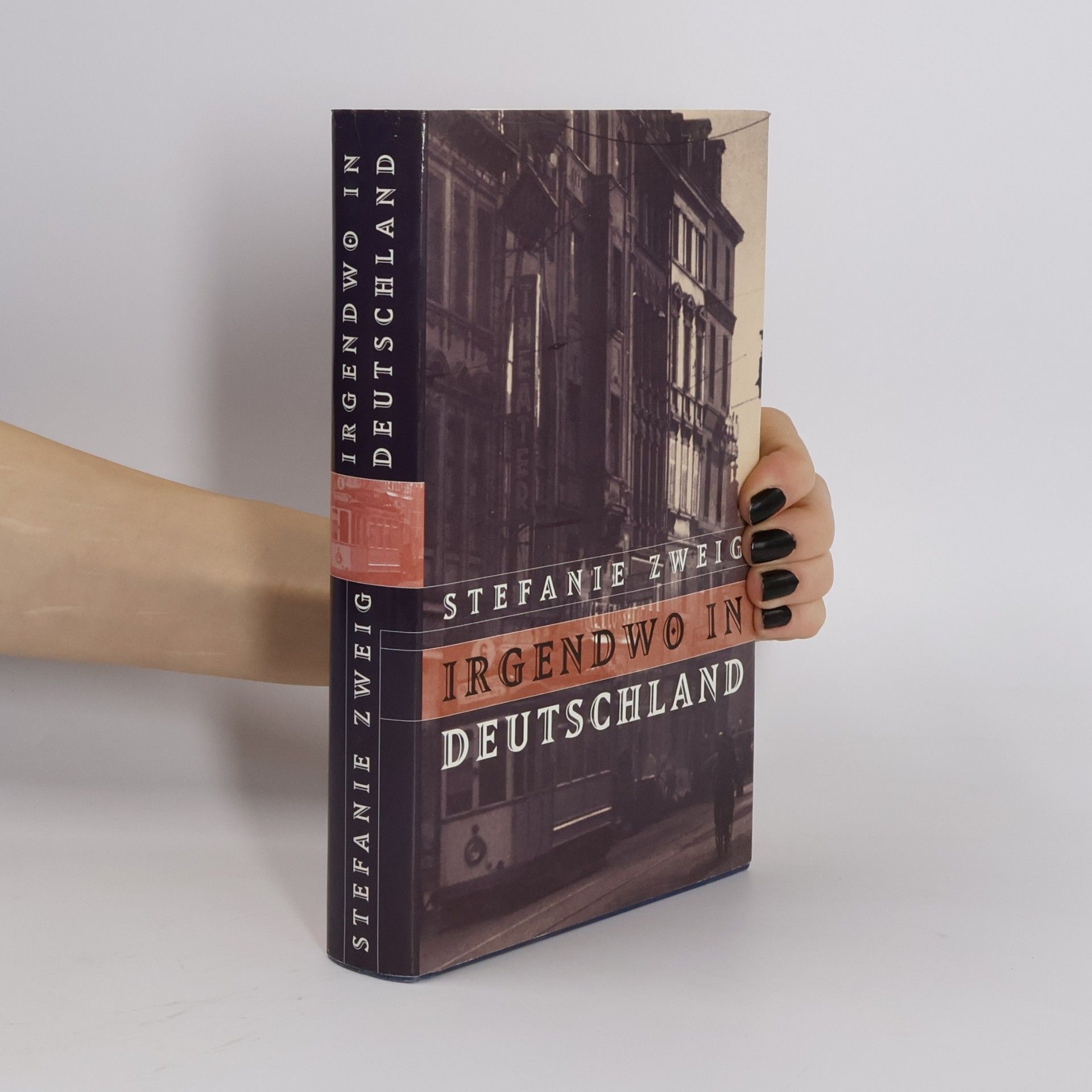 Stefanie Zweig Irgendwo in Deutschland