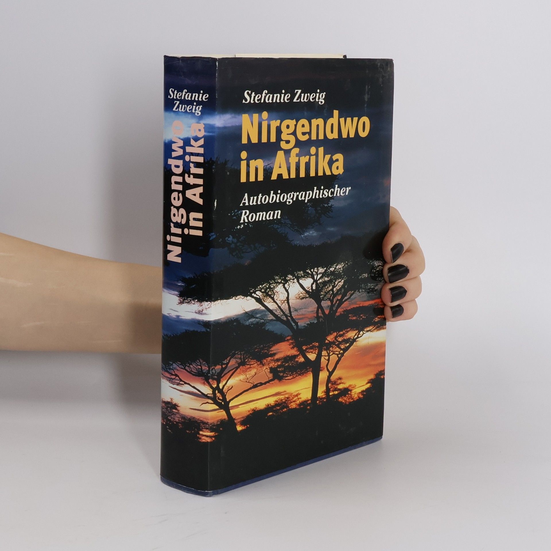 Stefanie Zweig Nirgendwo in Afrika