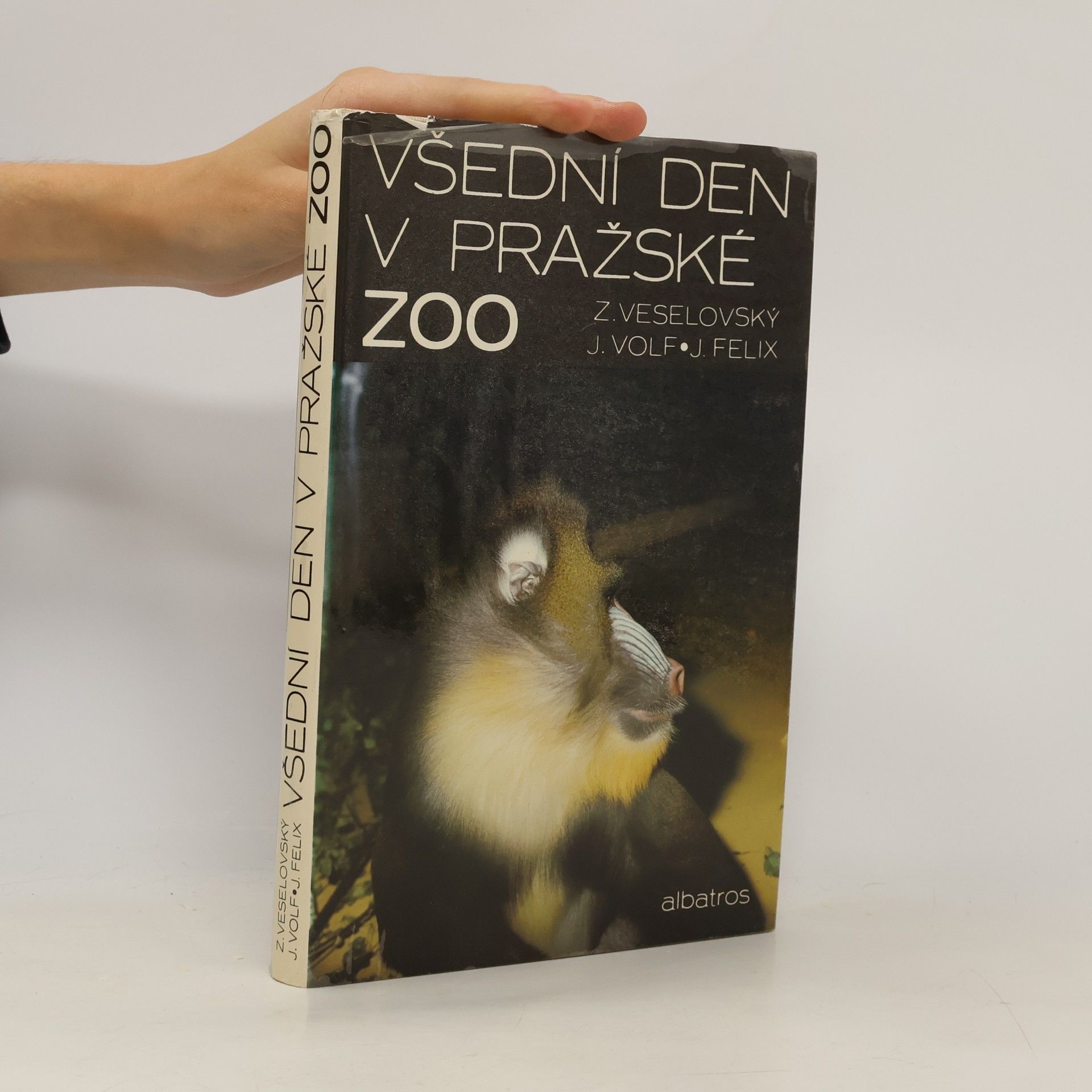 Všední den v pražské ZOO